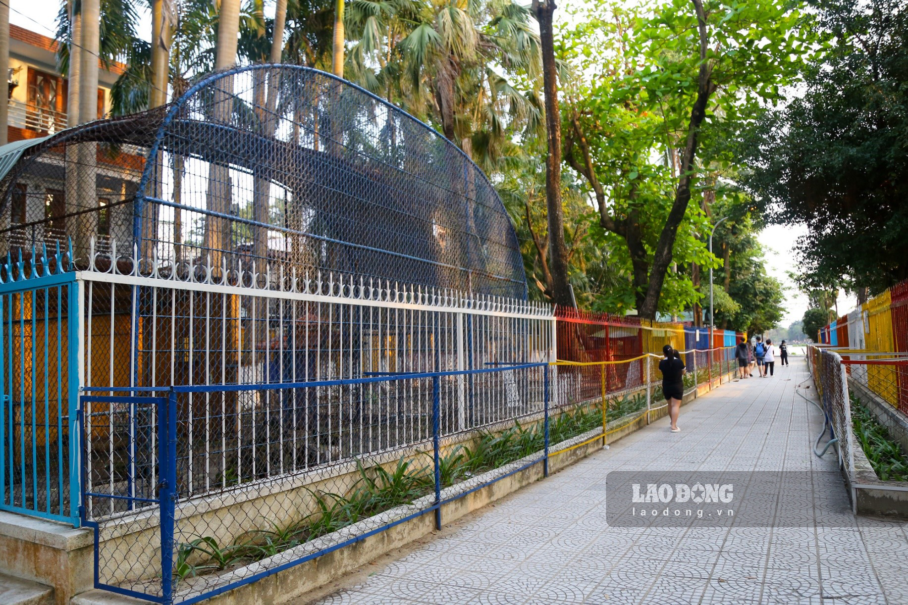 Theo Trung tâm Văn hóa - Thể thao quận Thanh Khê cho biết, sắp tới đơn vị sẽ triển khai dự án cải tạo Công viên 29-3, lúc ấy vườn thú này sẽ bị “xóa sổ”, những con thú ở đây sẽ được chuyển về một môi trường có điều kiện sống thuận lợi hơn.