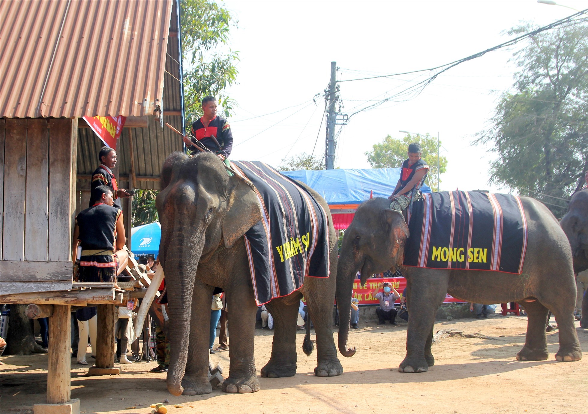 Người M'nông ở huyện Lắk (Đắk Lắk) tổ chức lễ cúng sức khỏe cho voi. Ảnh: Phan Tuấn