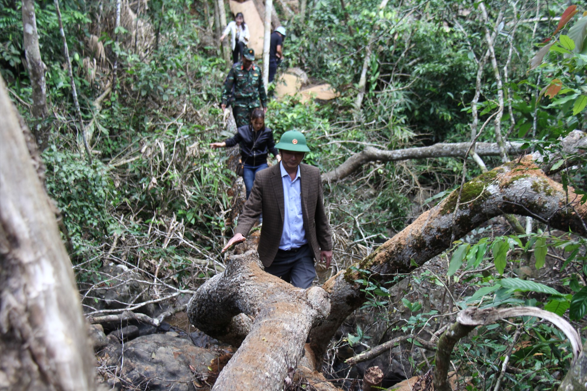 Đoàn công tác huyện Kbang vào hiện trường vụ chặt hạ, cưa cây trái phép. Ảnh Thanh Tuấn