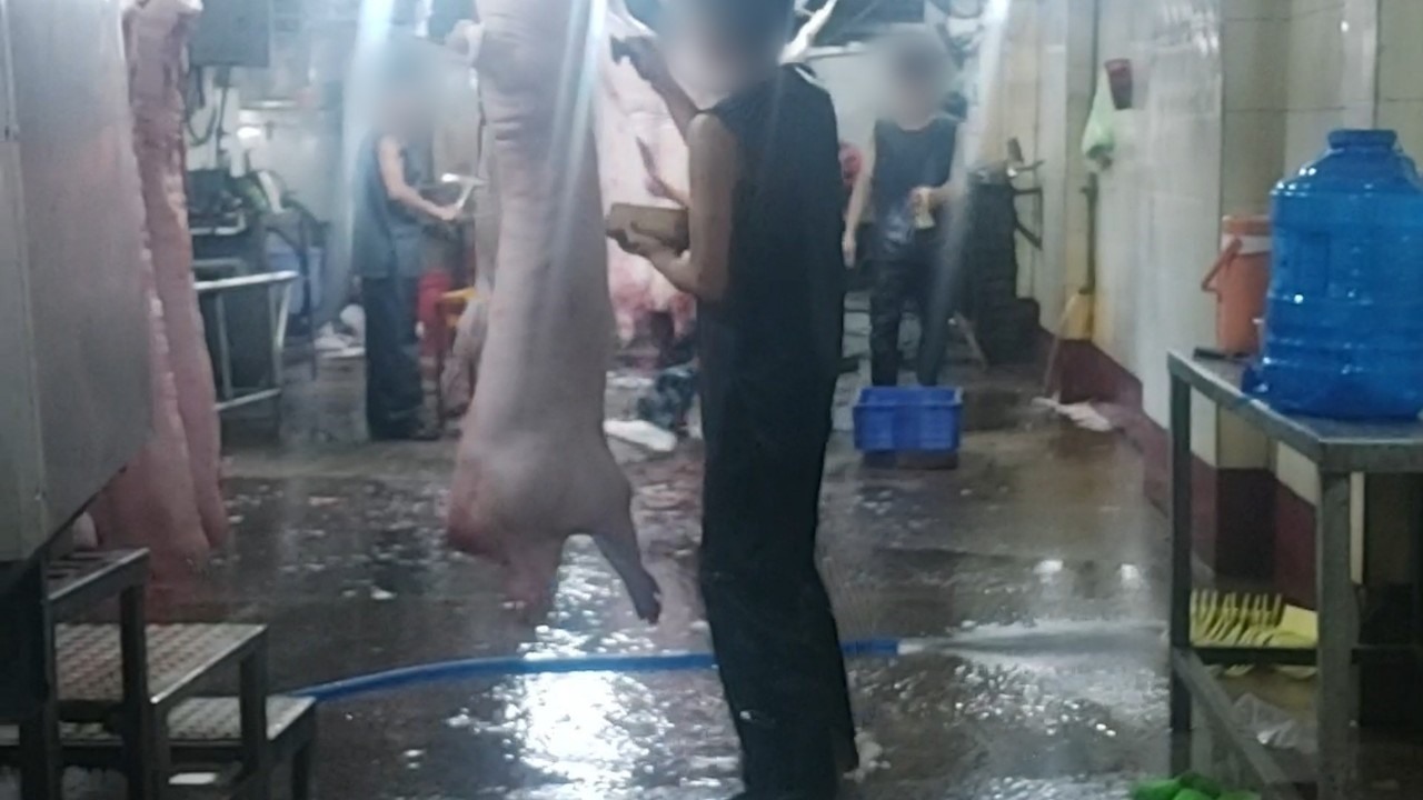 Nhân viên lò mổ Nguyễn Hữu Ân đóng dấu kiểm soát khống vào thịt heo mảnh. Ảnh: PV