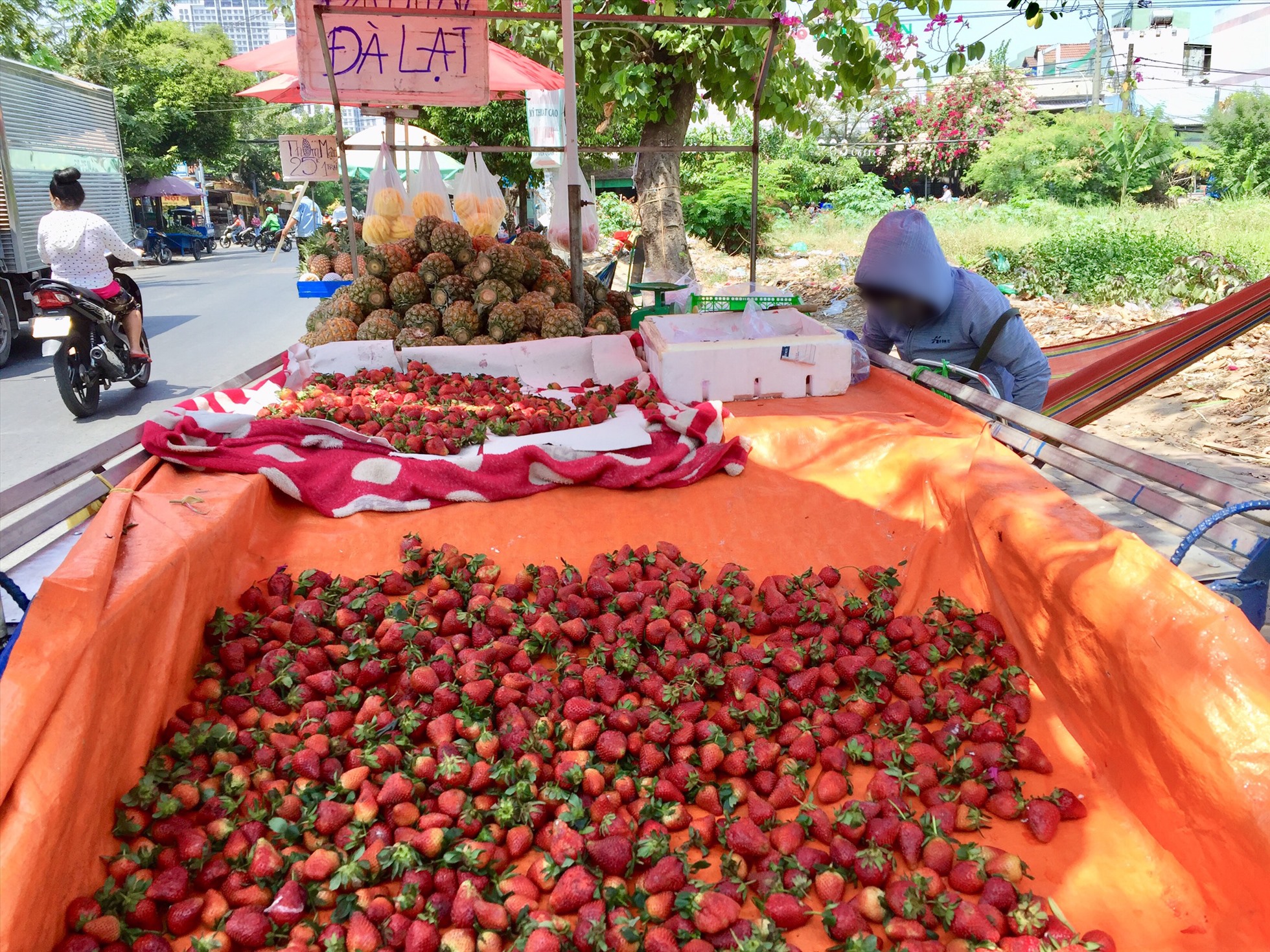 Một xe bán trái cây treo bảng “dâu tây Đà Lạt” ngay trước cổng bệnh viện Lê Văn Thịnh. Ảnh: Như Quỳnh
