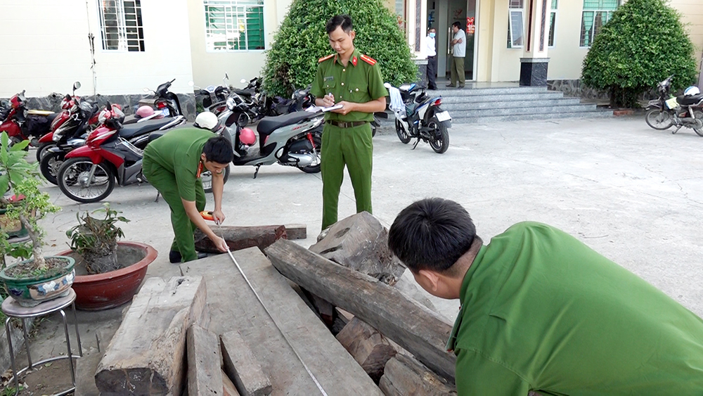 Lực lượng chức năng kiểm đếm gỗ hương tang vật trong vụ án. Ảnh: Vũ Tiến
