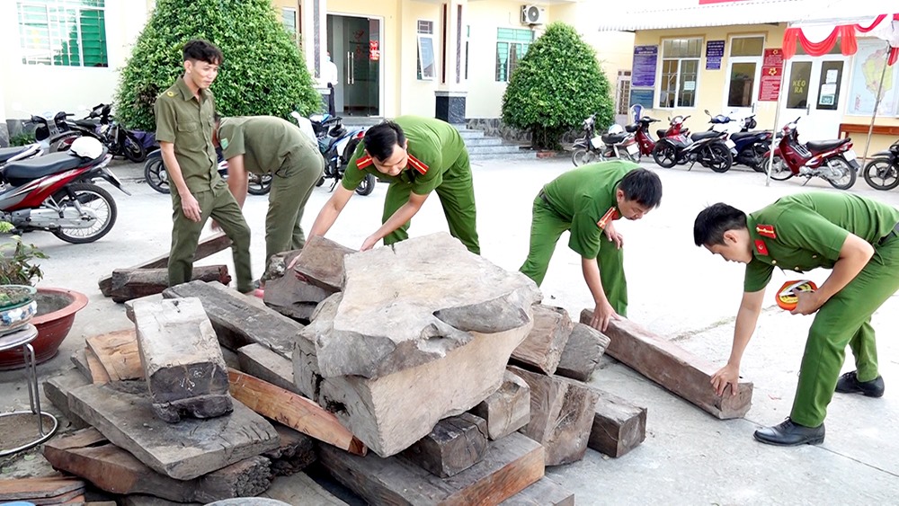 Lực lượng chức năng trên địa bàn huyện An Phú bắt giữ 40 khúc gỗ hương nghi nhập lậu. Ảnh: Vũ Tiến