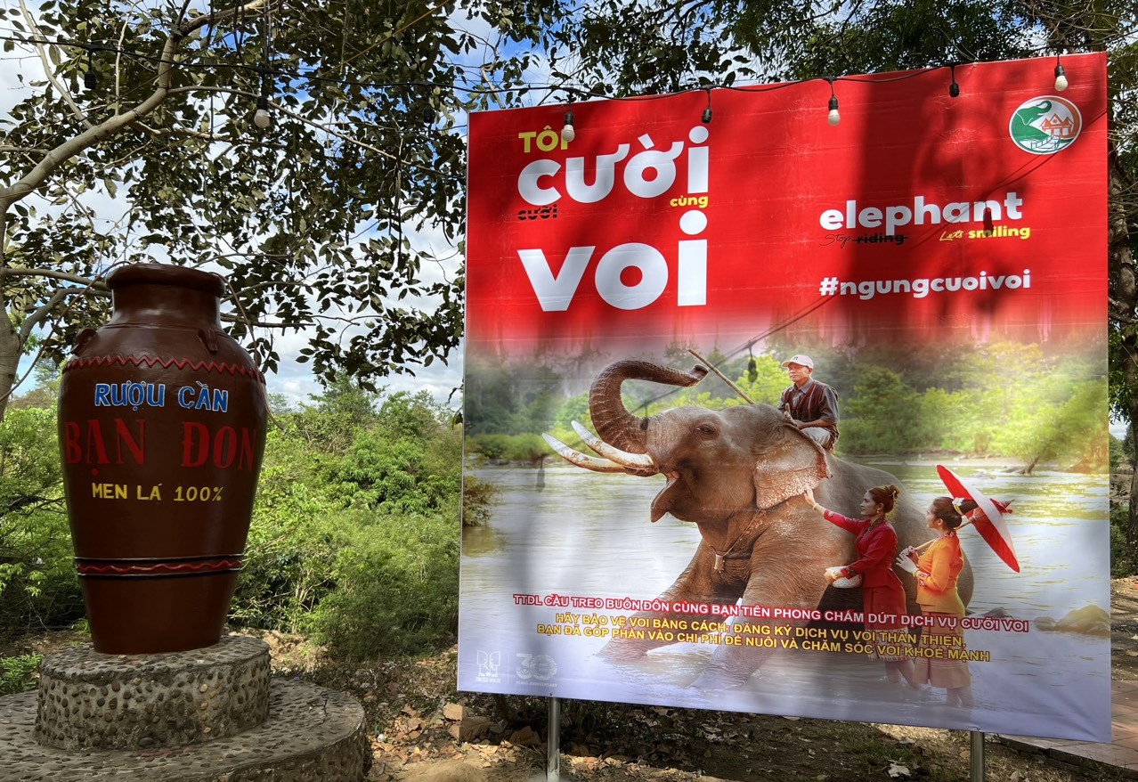 Những dịch vụ du lịch thân thiện với voi đang dần được triển khai ở Đắk Lắk. Ảnh: Bảo Trung