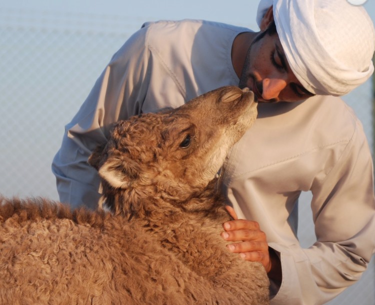 Ảnh: Trung tâm Công nghệ Sinh học Sinh sản Dubai