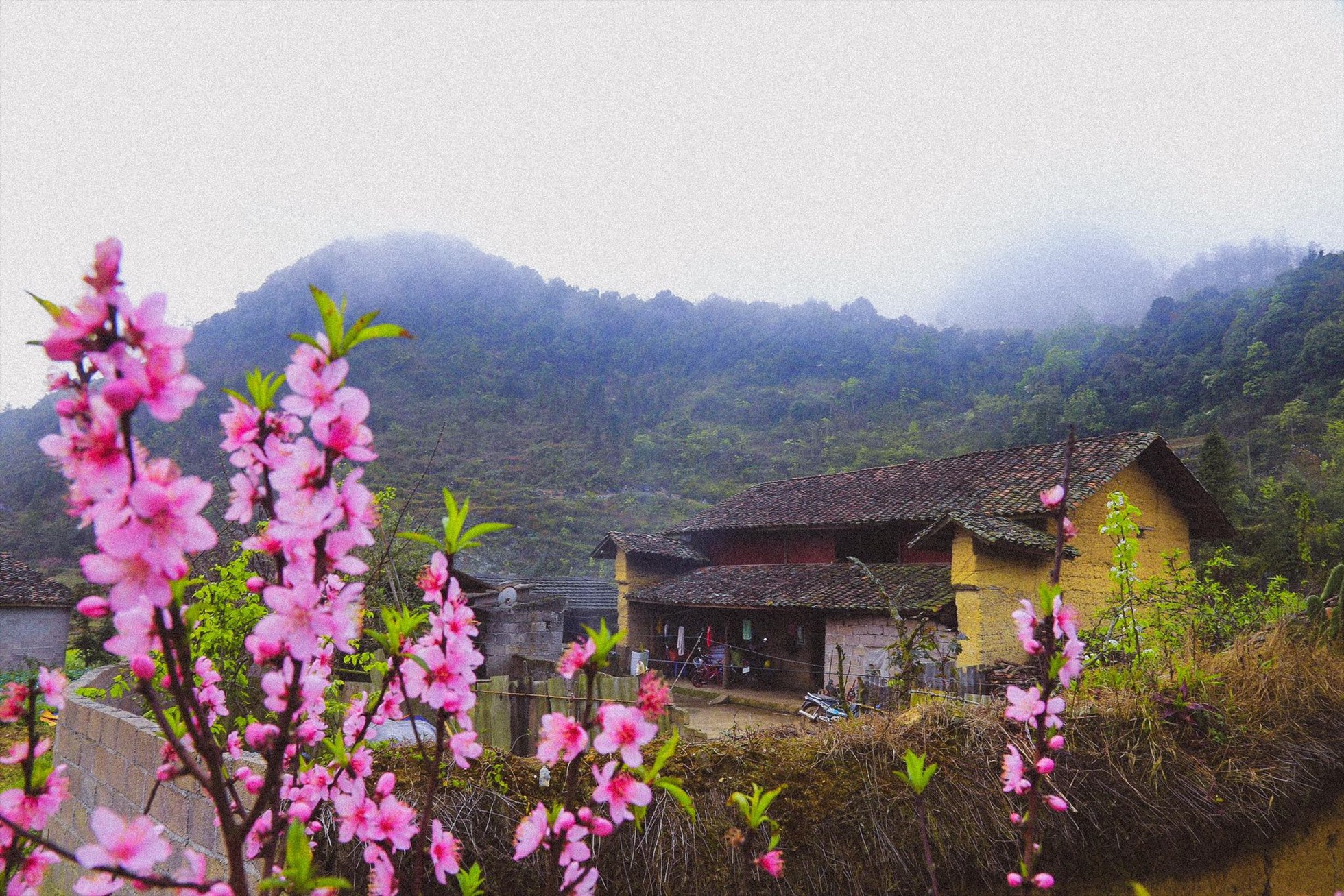 Vẻ bình yên của ngôi làng cổ tích Lô Lô Chải ở Hà Giang