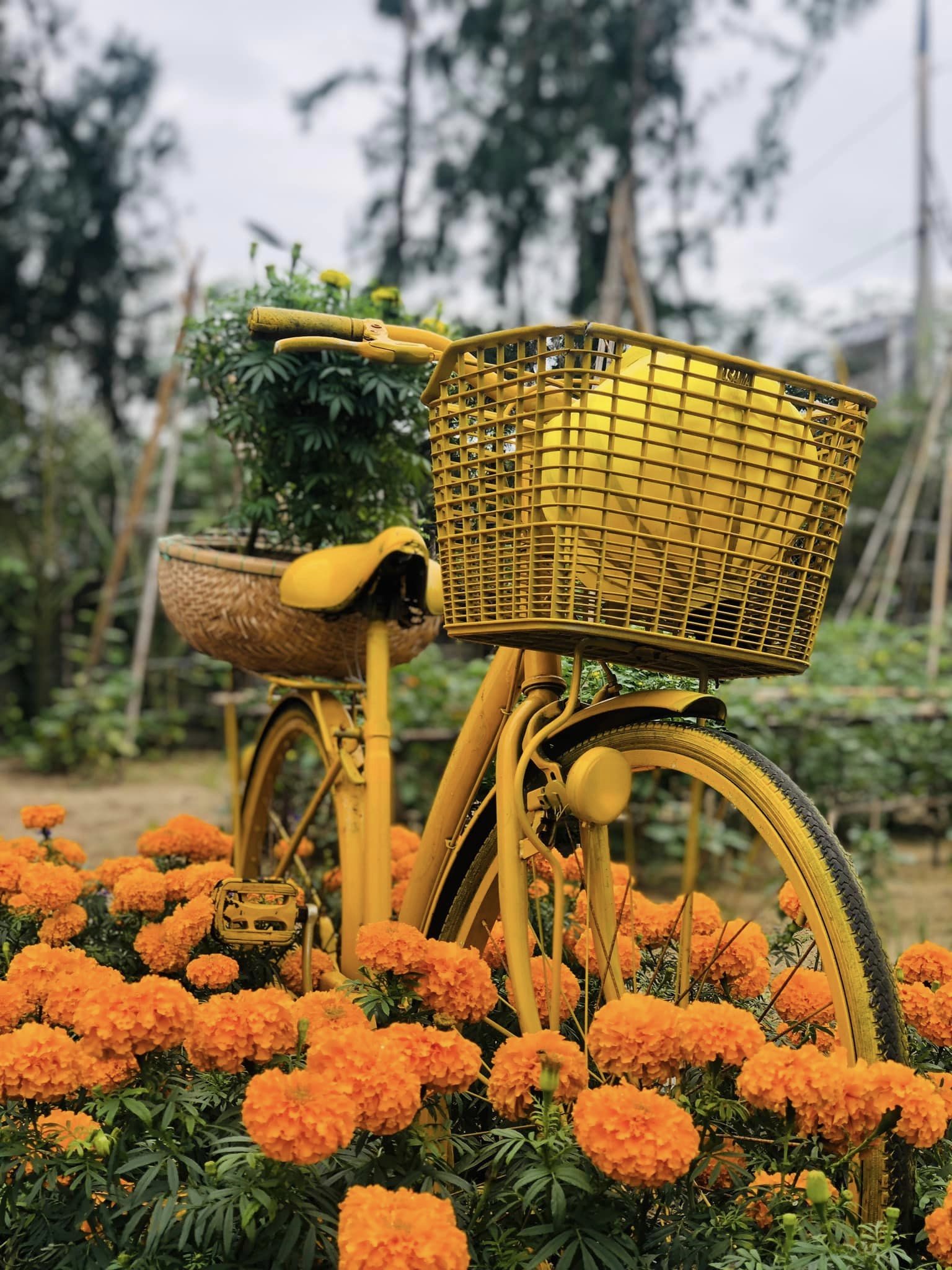 Nơi đây mang đến cảm giác bình yên đến lạ. Ảnh: Caman Village