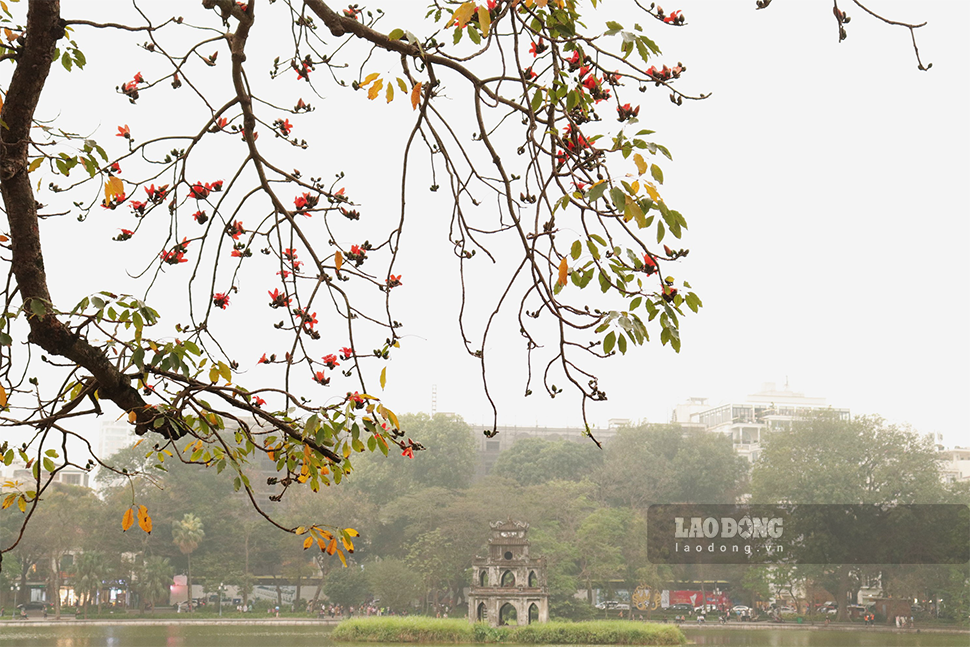 Đặc biệt, khu vực hồ Hoàn Kiếm cũng thu hút đông đảo người dân đến chiêm ngưỡng, lưu lại những hình ảnh đẹp về “mùa hoa gạo“.