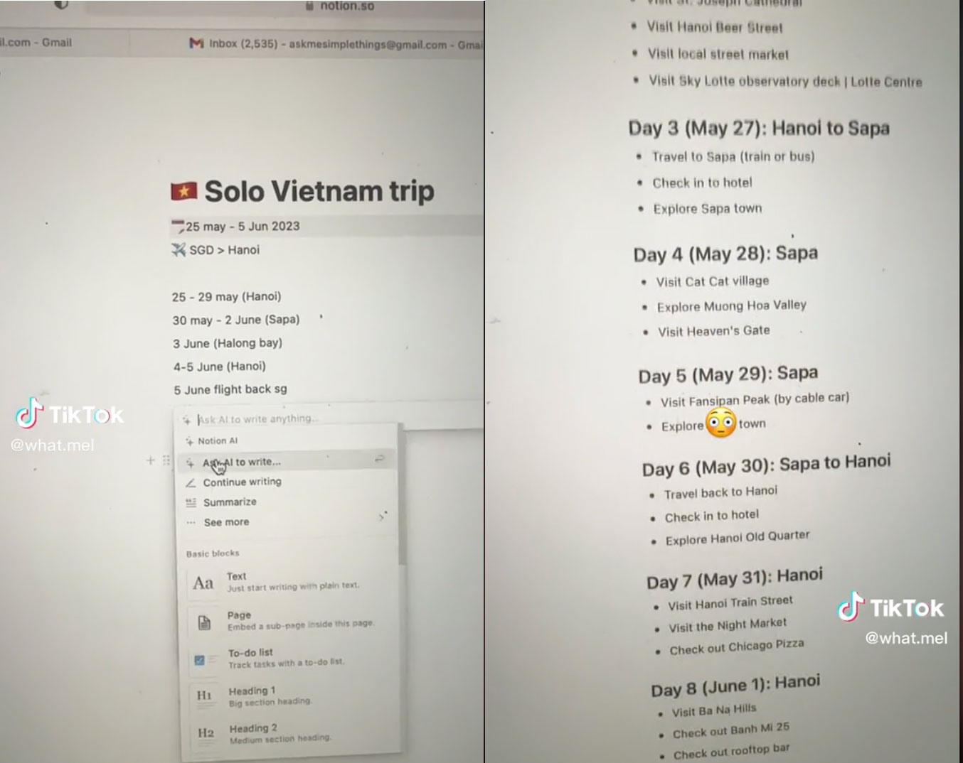 Lịch trình AI gợi ý cho Melissa. Ảnh: @what.mel/TikTok