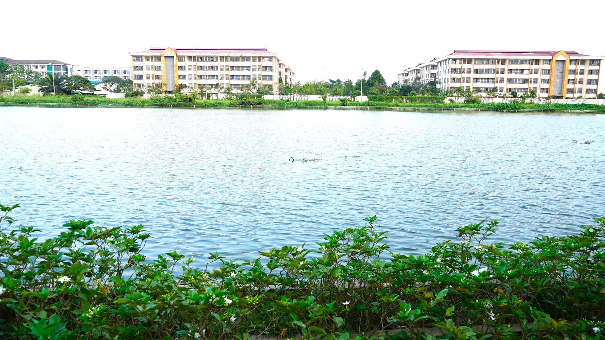 Hồ Búng Xáng (thuộc P. An Khánh, Q. Ninh Kiều) là hồ điều tiết nước lớn nhất của TP Cần Thơ và hiện tuyến đường quanh hồ đã được quy hoạch Phố Ẩm thực, phát triển kinh tế về đêm của thành phố. Dự án hồ Búng Xáng do Ban quản lý Dự án ODA thành phố làm chủ đầu tư, với tổng kinh phí 220 tỉ đồng.