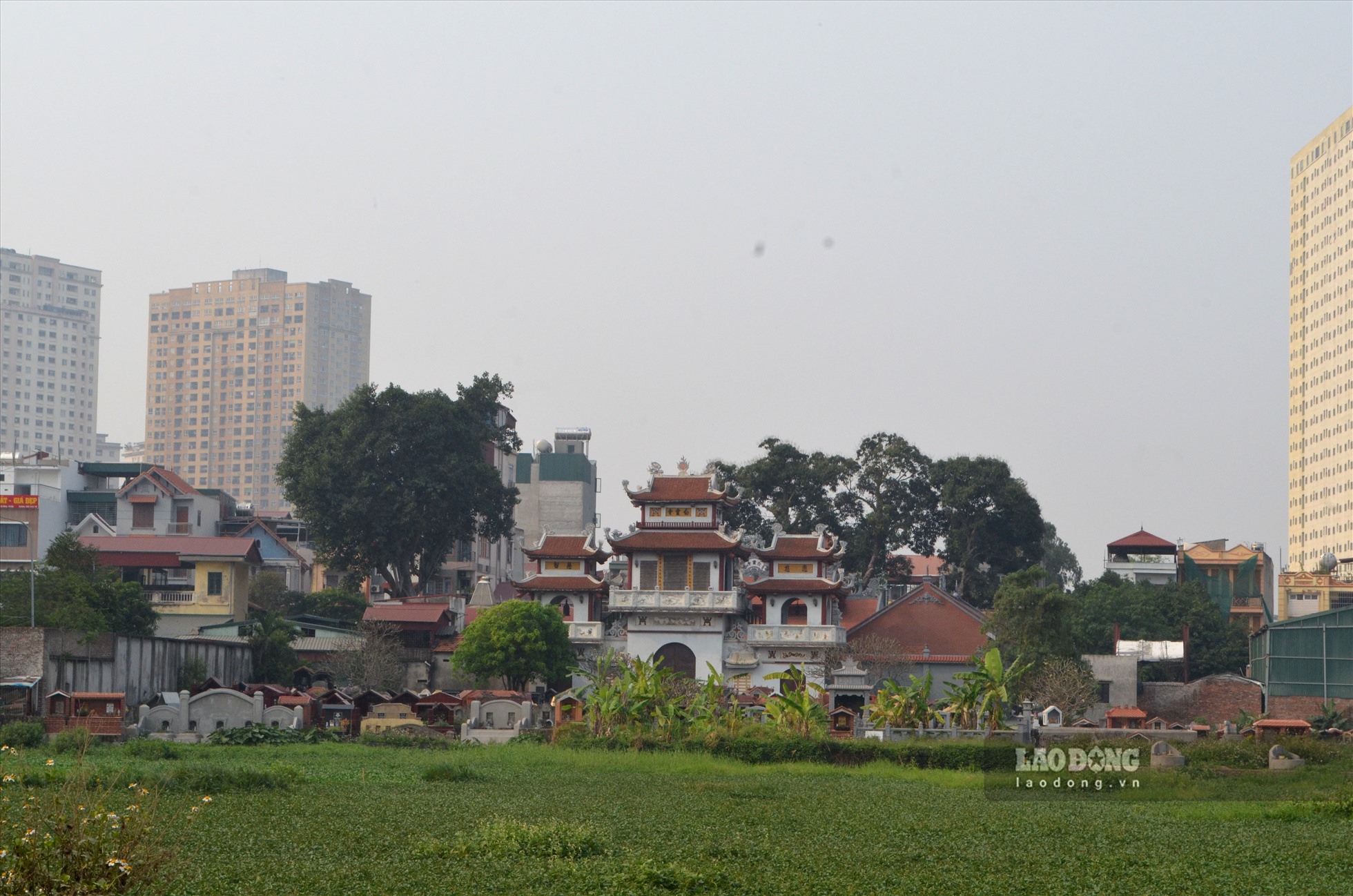 Cũng giống nhiều làng quê Bắc Bộ, khu vực cuối xóm Đại Khang (xã Hữu Hòa), băng qua cánh đồng lúa là khu nghĩa trang. Phía sau là các tòa chung cư cao tầng.