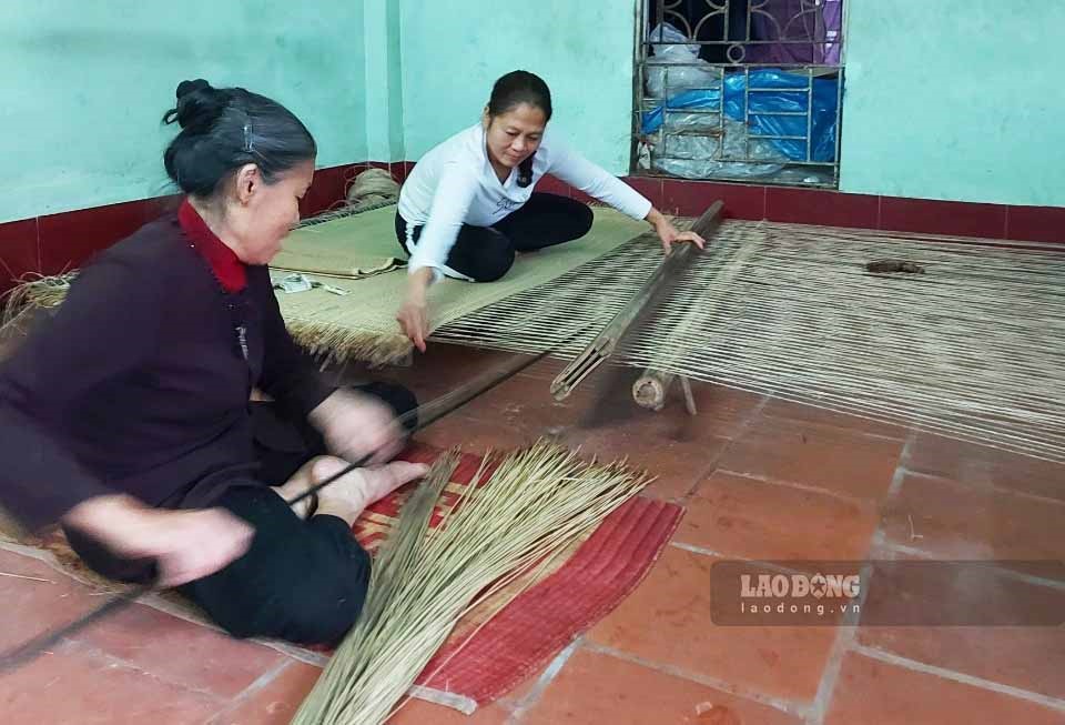 Hai bà Hương và Dy tiến hành phối hợp nhịp nhàng công đoạn chao cói để dệt chiếu. Ảnh: Lương Hà