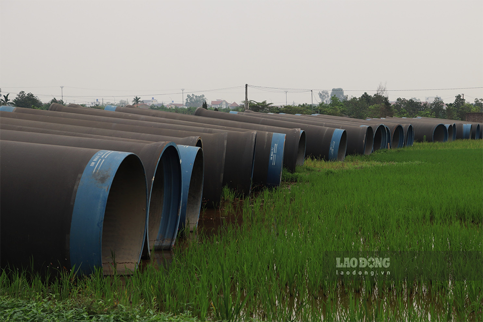 Phía đối diện nhà máy, các ống dẫn nước được để ngổn ngang ngay những cánh đồng lúa.