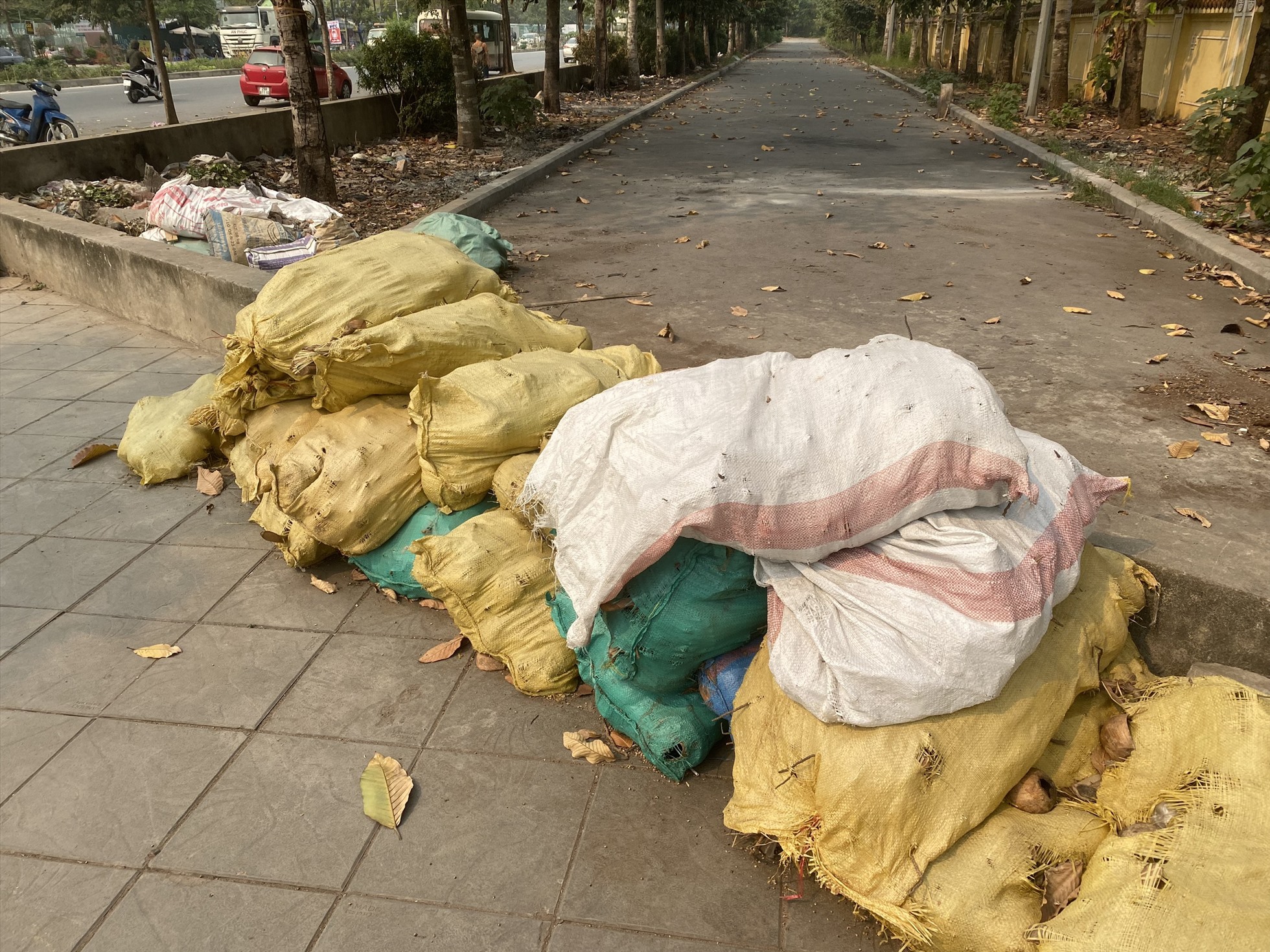 Bao tải vỏ dừa khô bị các tiểu thương vứt ở lề đường Hồ Tùng Mậu (Bắc Từ Liêm). Ảnh: Phương Trang