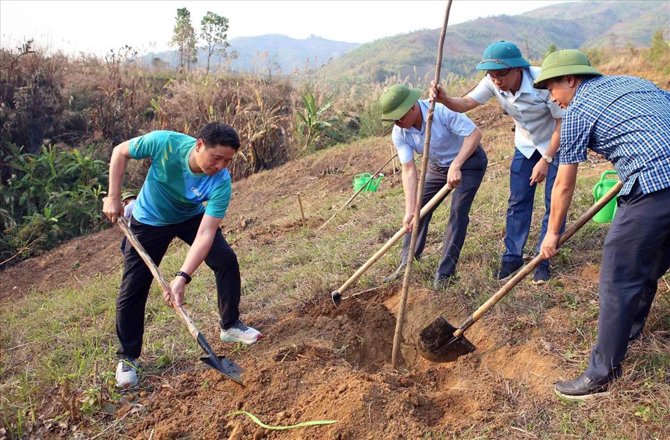 Các vận động viên giải Tiền Phong Marathon tham gia trồng cây. Ảnh: Ban tổ chức