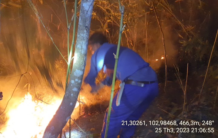 Các lực lượng được huy động để dập tắt đám cháy rừng tại xã Noong Luống, huyện Điện Biên. Ảnh: Kiểm lâm cung cấp