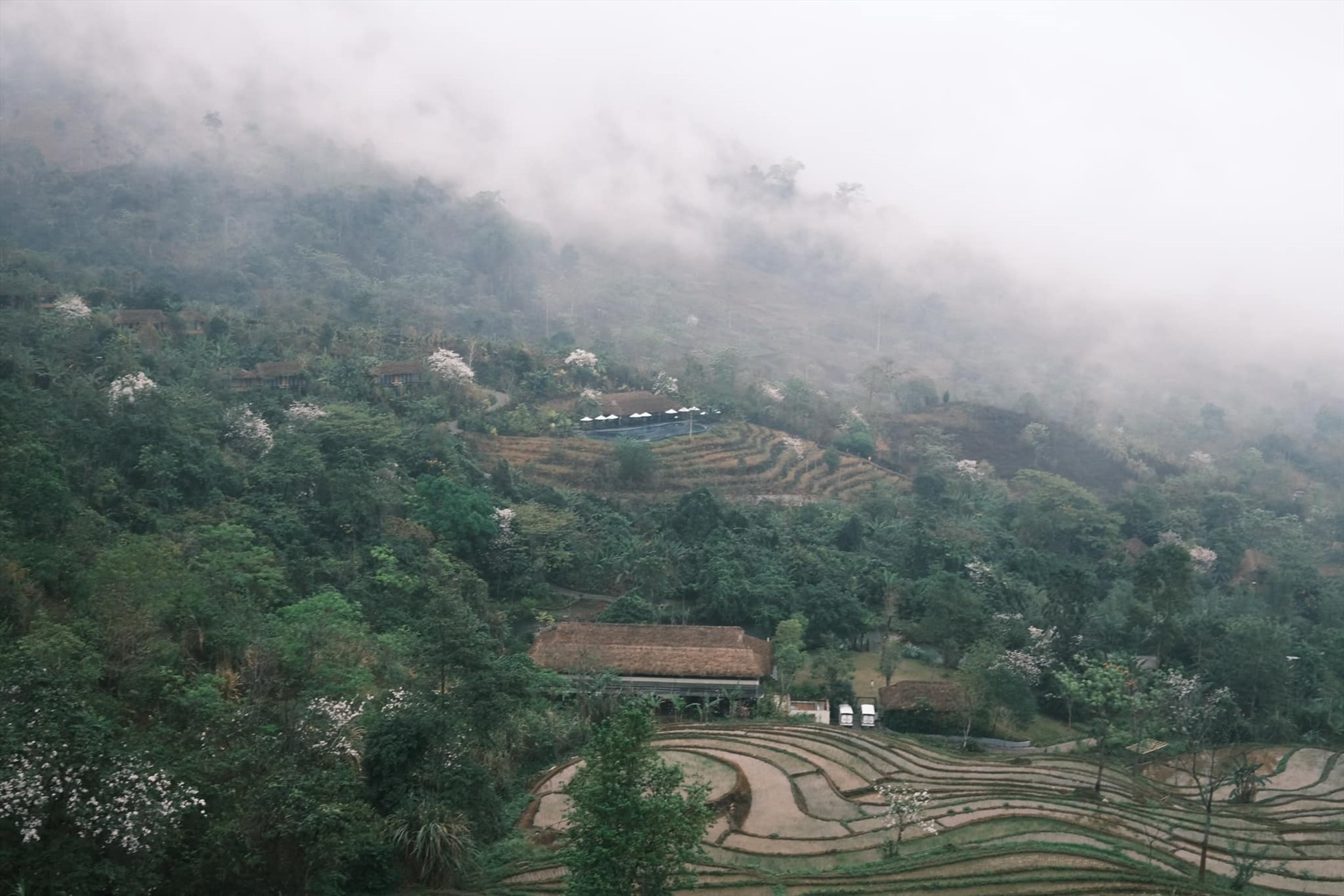 Trước Ngô Thanh Vân, siêu mẫu Thanh Hằng cũng có chuyến du lịch ra các tỉnh phía Bắc. Người đẹp cũng khoe album ảnh check in tại các cung đường hoa rực rỡ ở Sa Pa, Yên Bái.