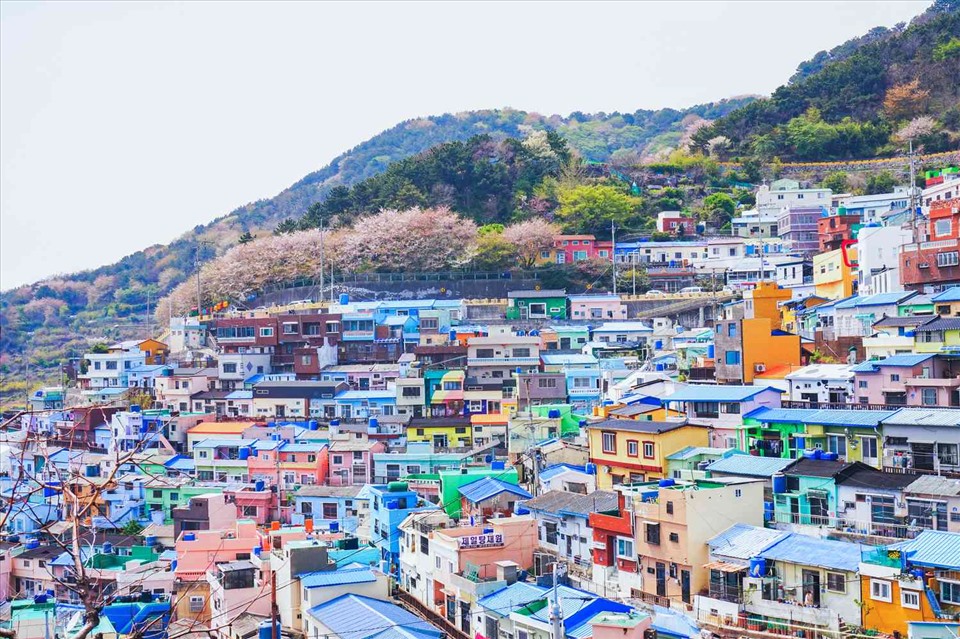 Thành phố biển Busan cũng là điểm đến yêu thích của nhiều du khách. Ảnh: TripSavvy