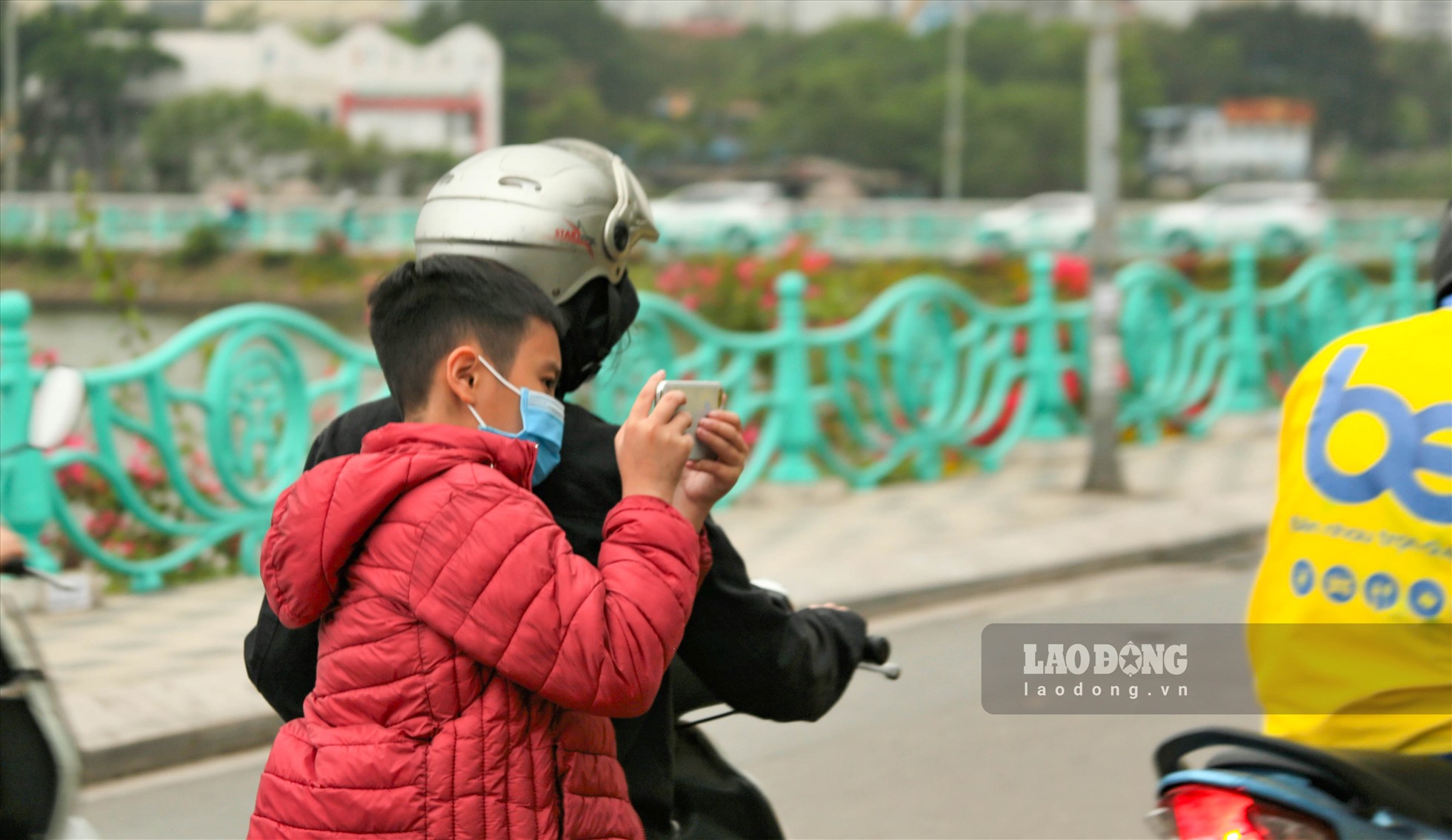 Dàn hoa hồng trắng nở rực rỡ, tỏa hương thơm ngát khiến ai đi ngang qua cũng phải” say đắm” ngước nhìn.