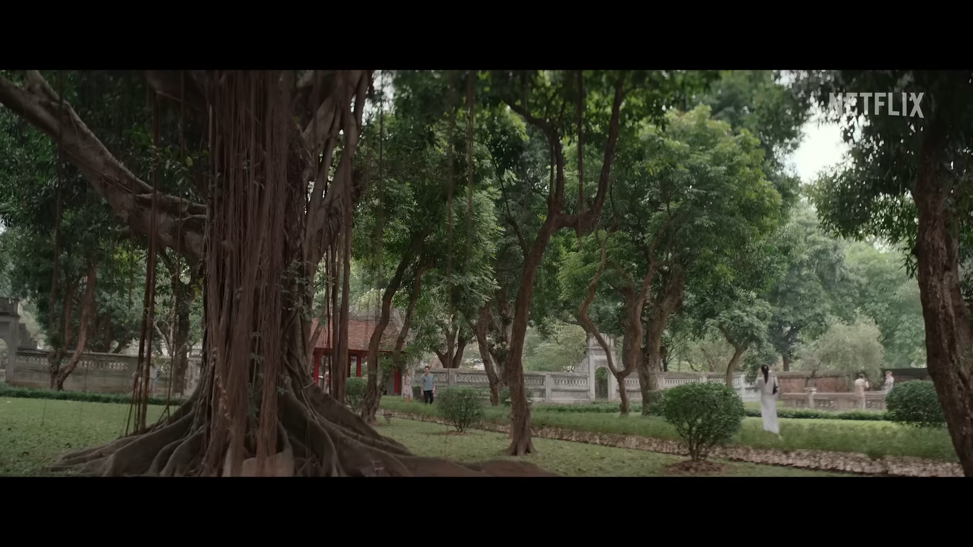 Một số hình ảnh làng quê, con người Việt Nam trong trailer phim. Ảnh: Chụp màn hình