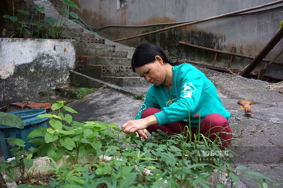 Họ cũng có một vườn rau...