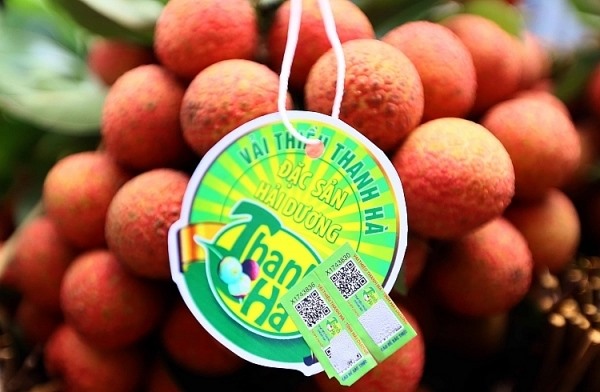 Vải thiều Thanh Hà được xem là “nữ hoàng” của các loại vải hiện nay. Đặc trưng của loại vải này là vị ngọt dịu mát, không ngọt gắt, cùi dày, hạt nhỏ, mùi thơm vương vấn mãi. Hàng năm cứ đến mùa vải chín người người lại đổ xô đi mua vải Thanh Hà về thưởng thức để cảm nhận hương vị đặc biệt. Chưa hết, vải Thanh Hà còn đáp ứng đủ các tiêu chí khắt khe để xuất khẩu sang nhiều nước khác. Ảnh: Sở Công thương Hải Dương