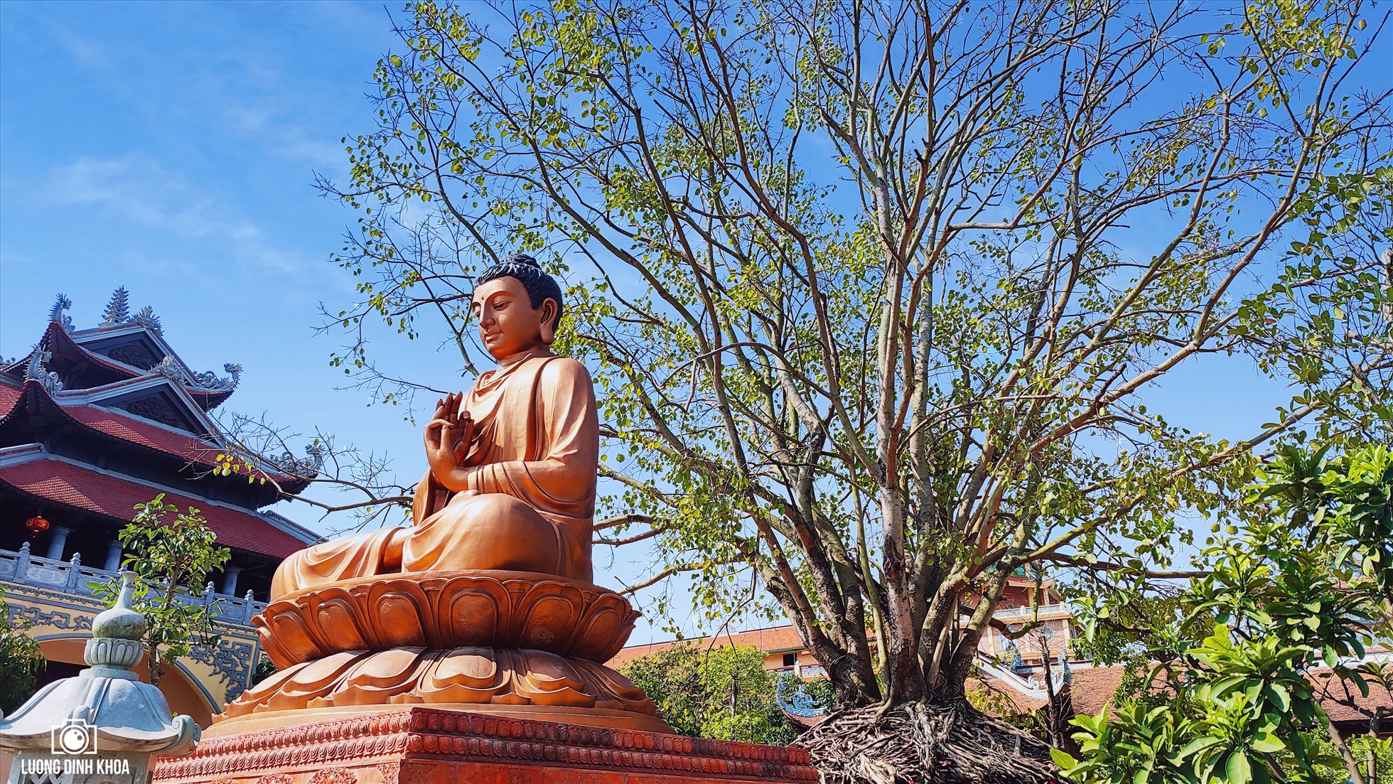 Cây bồ đề mọc lên từ một trong số 2 tháp cổ còn sót lại từ thời xưa của chùa. Qua thời gian rễ cây bao phủ hết tháp, tạo thành không gian mang những nét đặc biệt. Không gian ấy, khiến Phật tử nào đến chùa cũng ấn tượng với cây bồ đề vốn được coi là biểu tượng giác ngộ của Đức Phật.