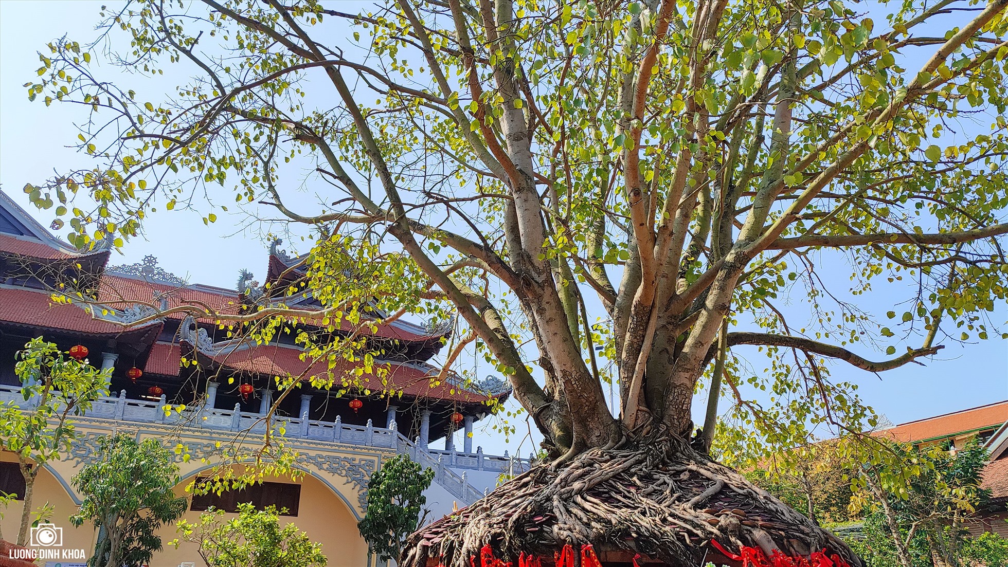 Năm 2017, thể theo nguyên vọng của nhân dân, ban lãnh đạo thôn đã thỉnh thầy Thích Thanh Phong cùng các sư thầy trong giáo hội Phật giáo về trụ trì giúp nhân dân quản lý, tu bổ chùa Long Hưng ngày một khang trang.