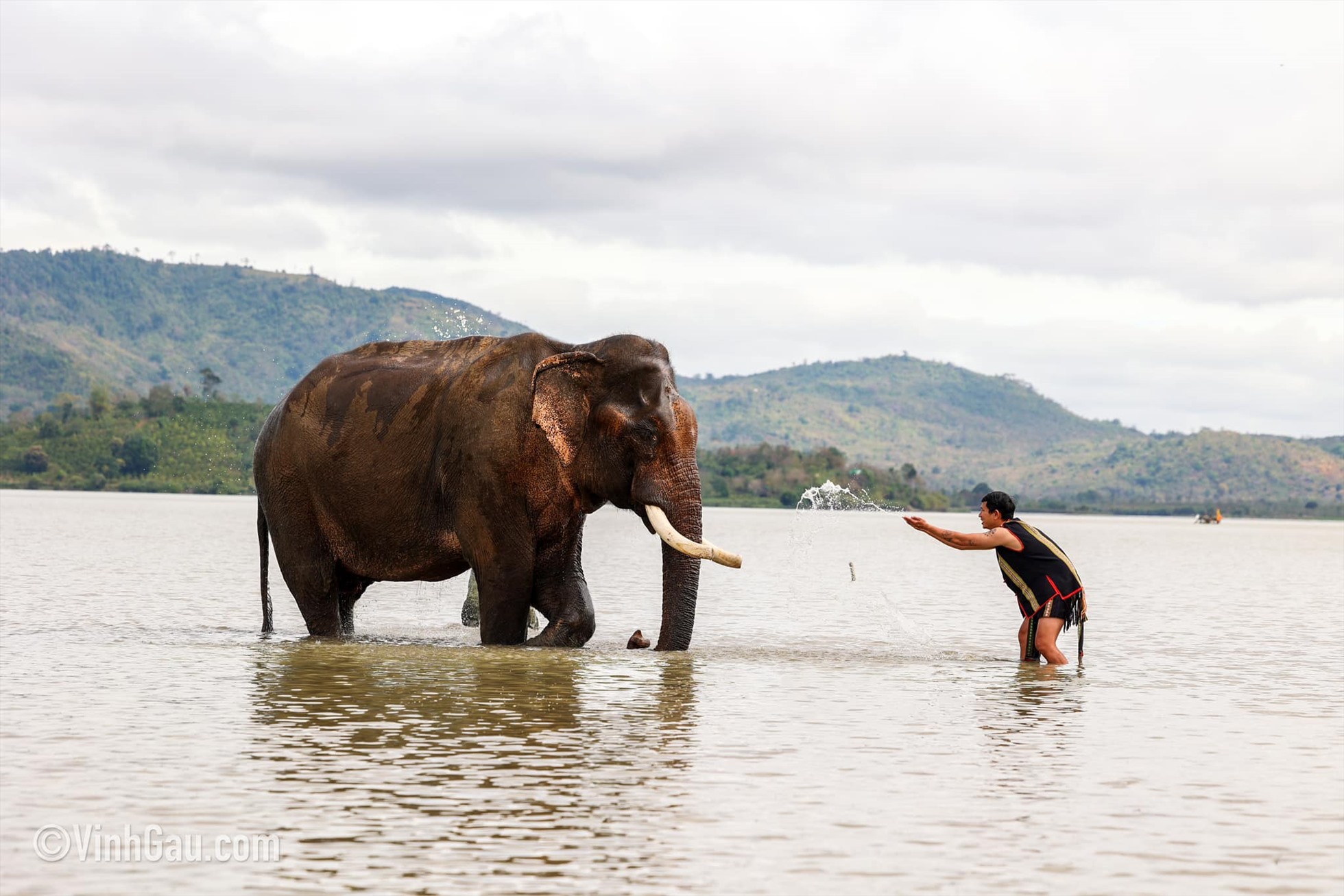 Du khách có thể ngắm voi, cho voi ăn, tắm cùng voi... thay vì cưỡi voi khi du lịch Buôn Ma Thuột. Ảnh: Vinh Gấu