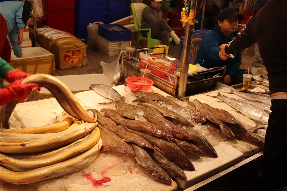 Cá dìa có giá 100.000 đồng/kg, cá ngừ chù có giá 40.000 đồng/kg, cá hố có giá 80.000 đồng/kg.