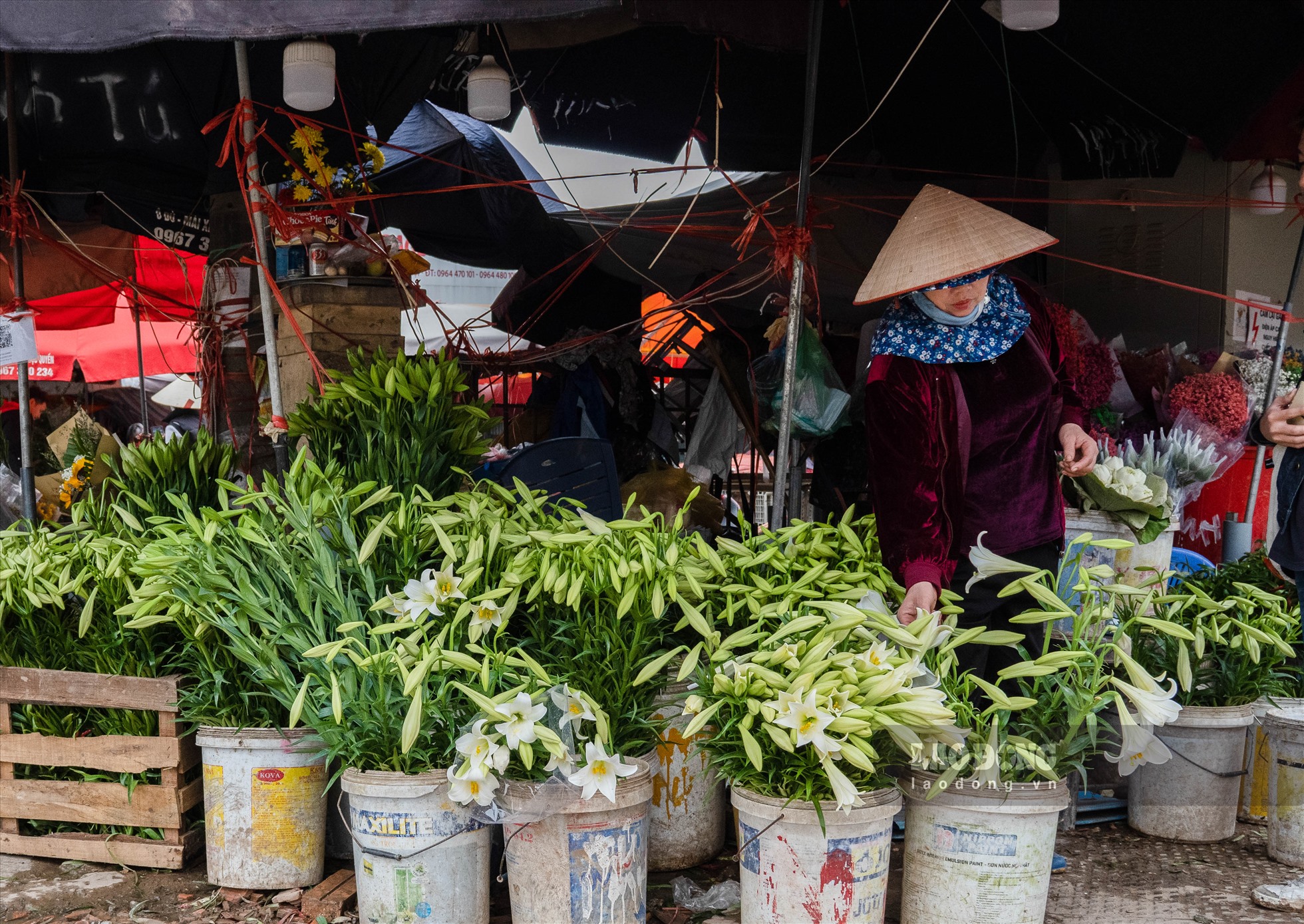 Một số chủ sạp tại chợ hoa Quảng Bá than ế ẩm, sức bán ra mỗi ngày chỉ từ 30 - 50 bó.