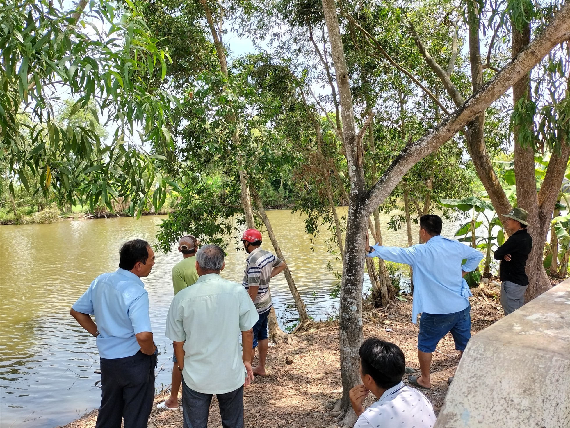 Nhiều người đứng trên bờ tìm cá sấu. Ảnh: Nhật Hồ