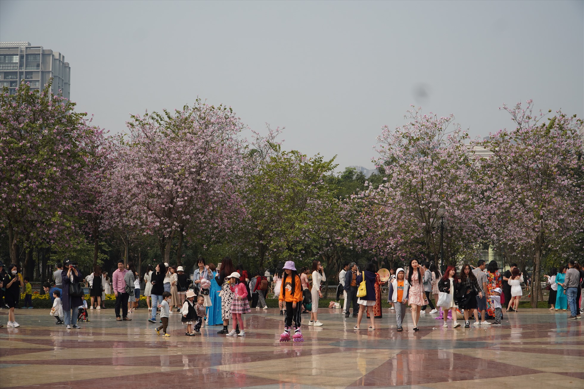 Theo ghi nhận của PV, chiều ngày 5.3, đông đảo người dân Thủ đô đổ về công viên Cầu Giấy (quận Cầu Giấy, Hà Nội) để tham quan, vui chơi và chụp ảnh.