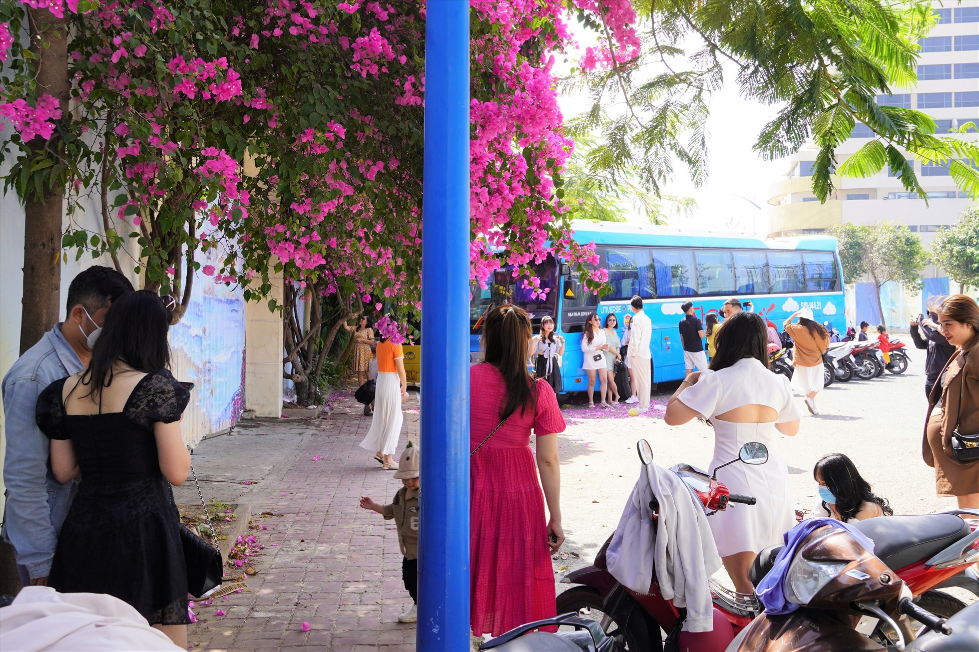 Trời càng nắng, càng nhiều người tìm đếp chụp ảnh lưu niệm cùng dàn hoa giấy. Loại hoa này cũng được trồng ở nhiều nơi, trên dải phân khách ra vào TP.Vũng Tàu, một số đền chùa, hoặc các tuyến đường lên ngọn núi Tao Phùng (núi Nhỏ) để điểm trang, tăng thêm màu sắc thu hút, phục vụ mỹ quan cho người dân, du khách tại địa phương. Ảnh: Thành An