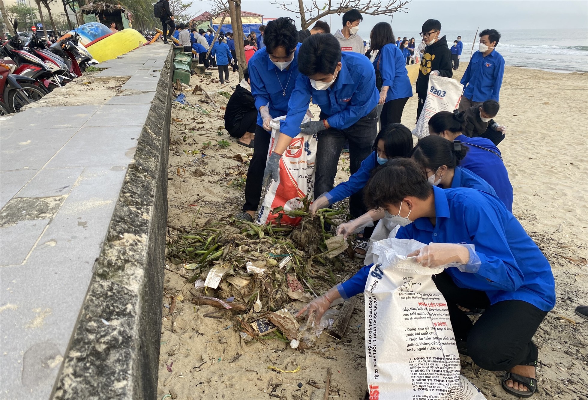 Đoàn viên, thanh niên ra quân dọn vệ sinh môi trường tại bờ biển đường Nguyễn Tất Thành. Ảnh: Ngọc Quốc