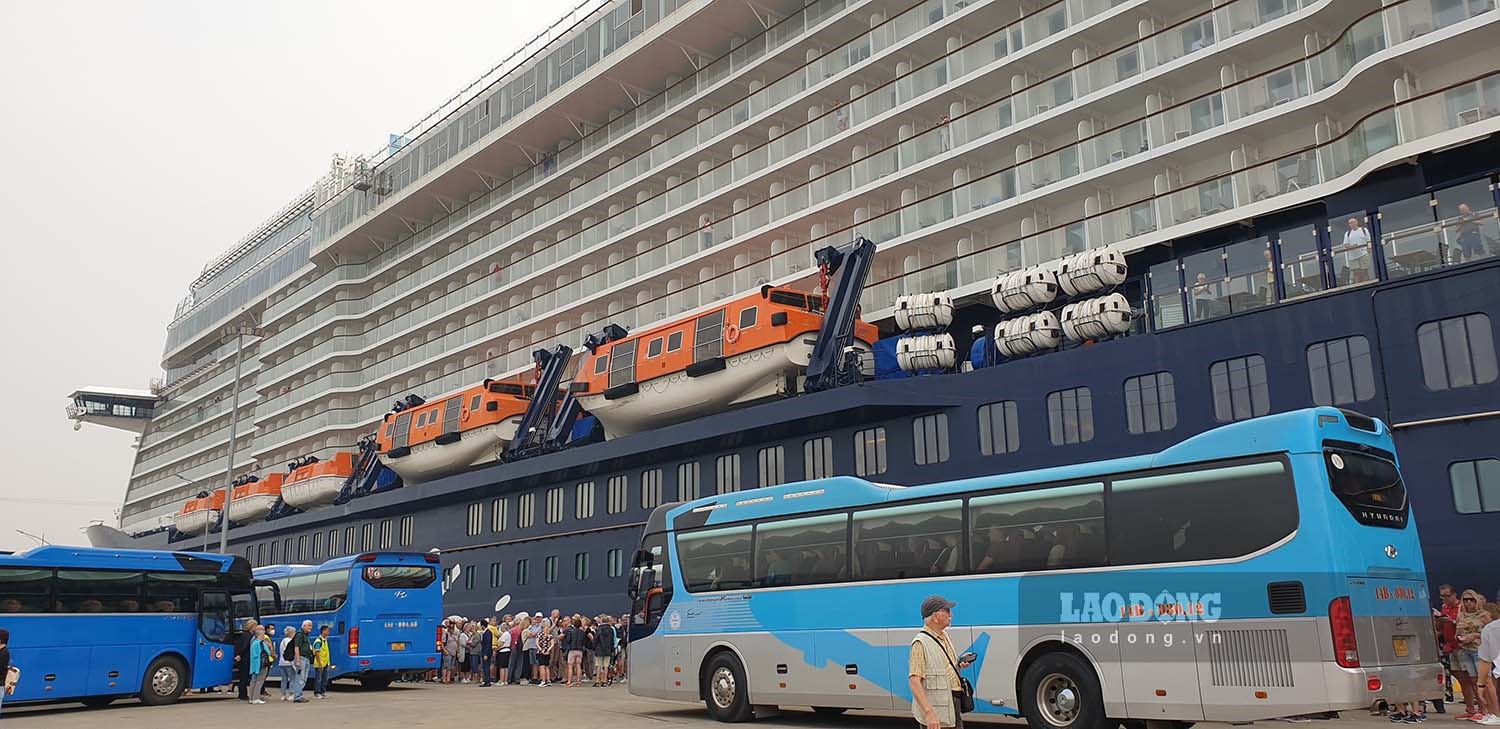 Tàu Mein Schiff 5 dài 295.30m, chiều rộng 35.80m, trọng tải 7,900 MT. Ảnh: Nguyễn Hùng