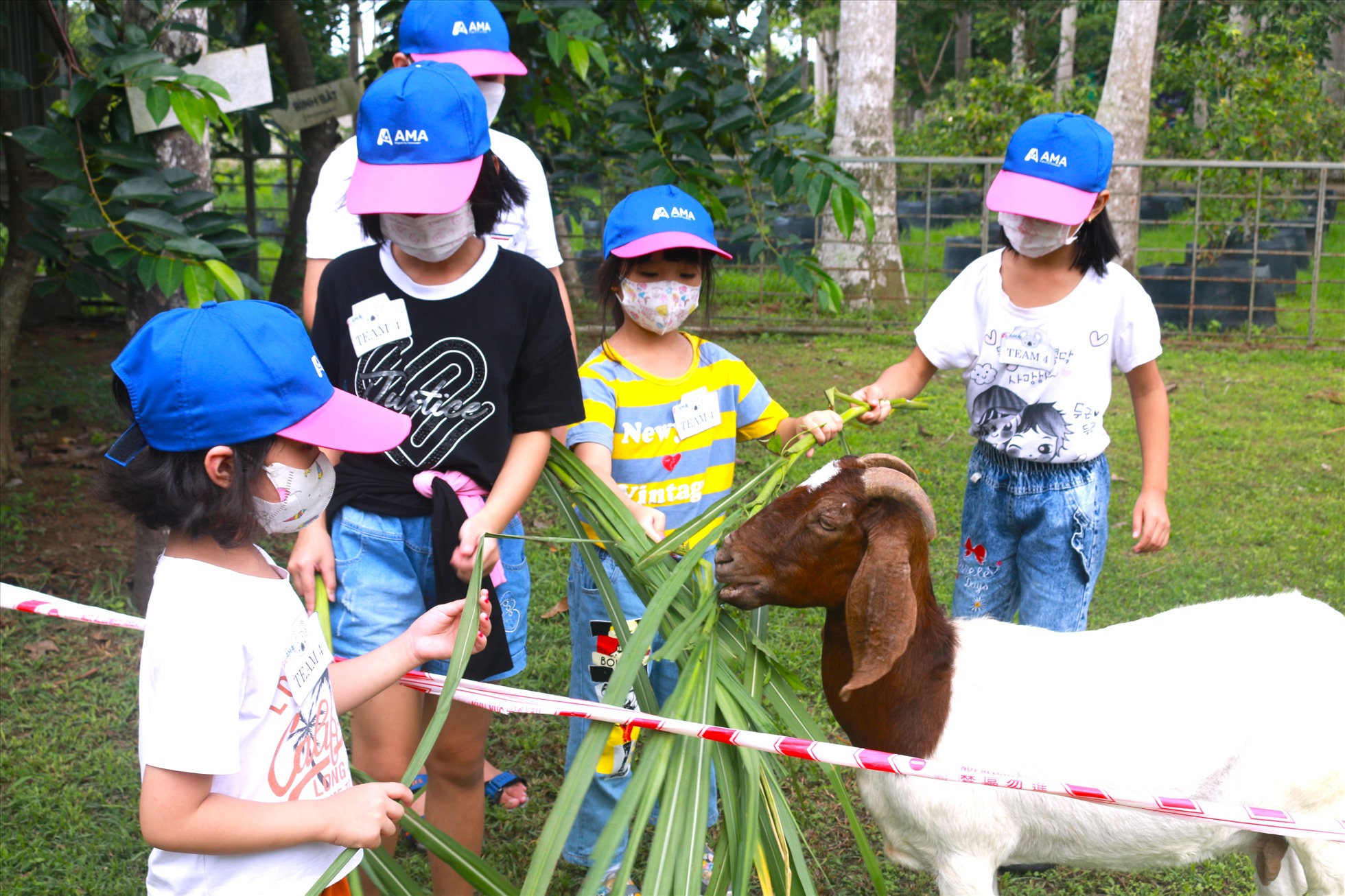 Điển hình là Khu nhà dê, thỏ với những vật nuôi đáng yêu, năng động. Tính đến cuối năm 2022, nông trại đã có hơn 1.000 vật nuôi được chăm sóc để đón khách, làm bạn với những du khách khi đến tham quan.