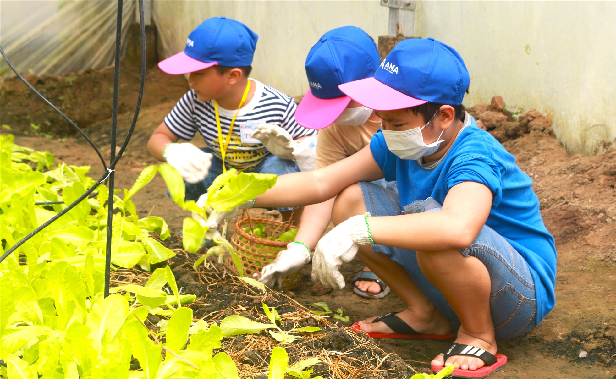 Bé Duy Thiên (11 tuổi, TP. Cần Thơ) chia sẻ: “Con đã được tham gia sinh hoạt tại Bảo Gia nông trang cùng bạn bè, con được cho dê ăn, thu hoạch rau, chơi các trò chơi. Các cô chú còn dạy cho con biết quý trọng công sức lao động của nghề nông và yêu thiên nhiên hơn. Con rất thích các hoạt động nơi đây vì nó rất vui và bổ ích, giúp con có thêm bạn và học hỏi được nhiều điều”.