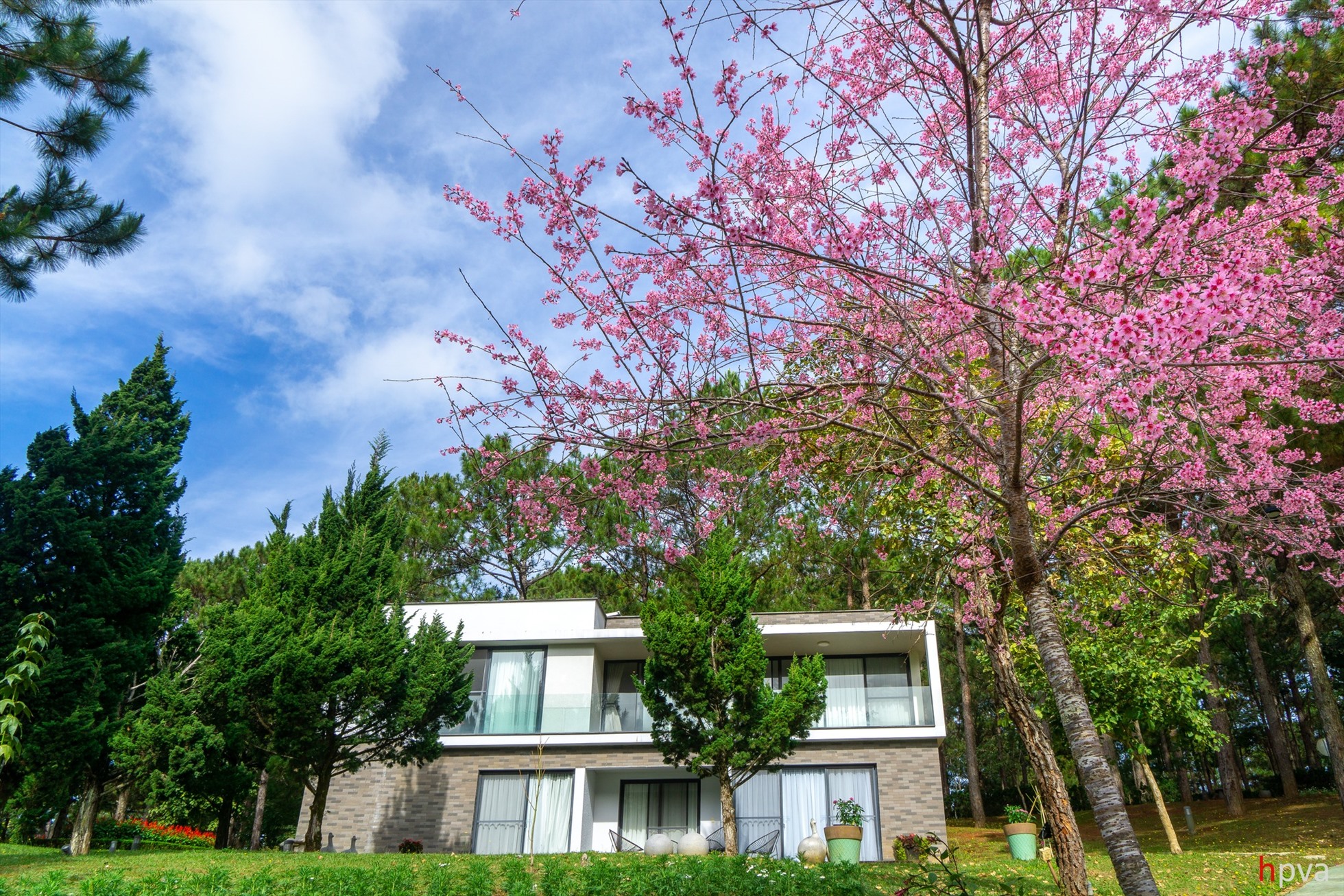 Terracotta Hotel & Resort Dalat