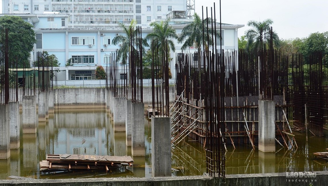 Ao tù nước đọng trong khuôn viên dự án nghìn tỉ bỏ hoang trở thành nơi sinh sản của muỗi. Ảnh: Ngọc Viên