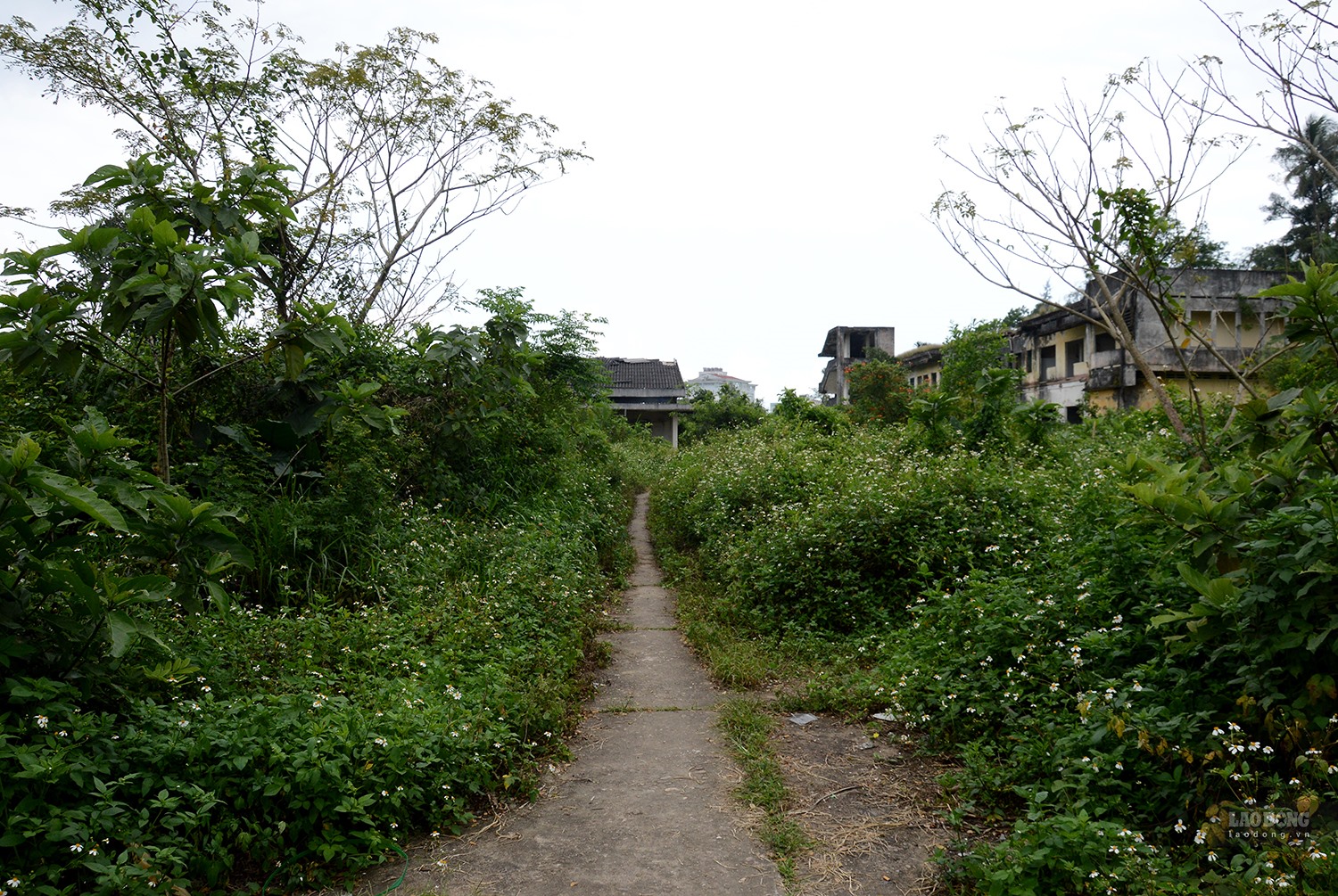 Lối vào các căn nhà hoang để tiêm chích ma túy của các con nghiện ở công viên Thiên Bút. Ảnh: Ngọc Viên