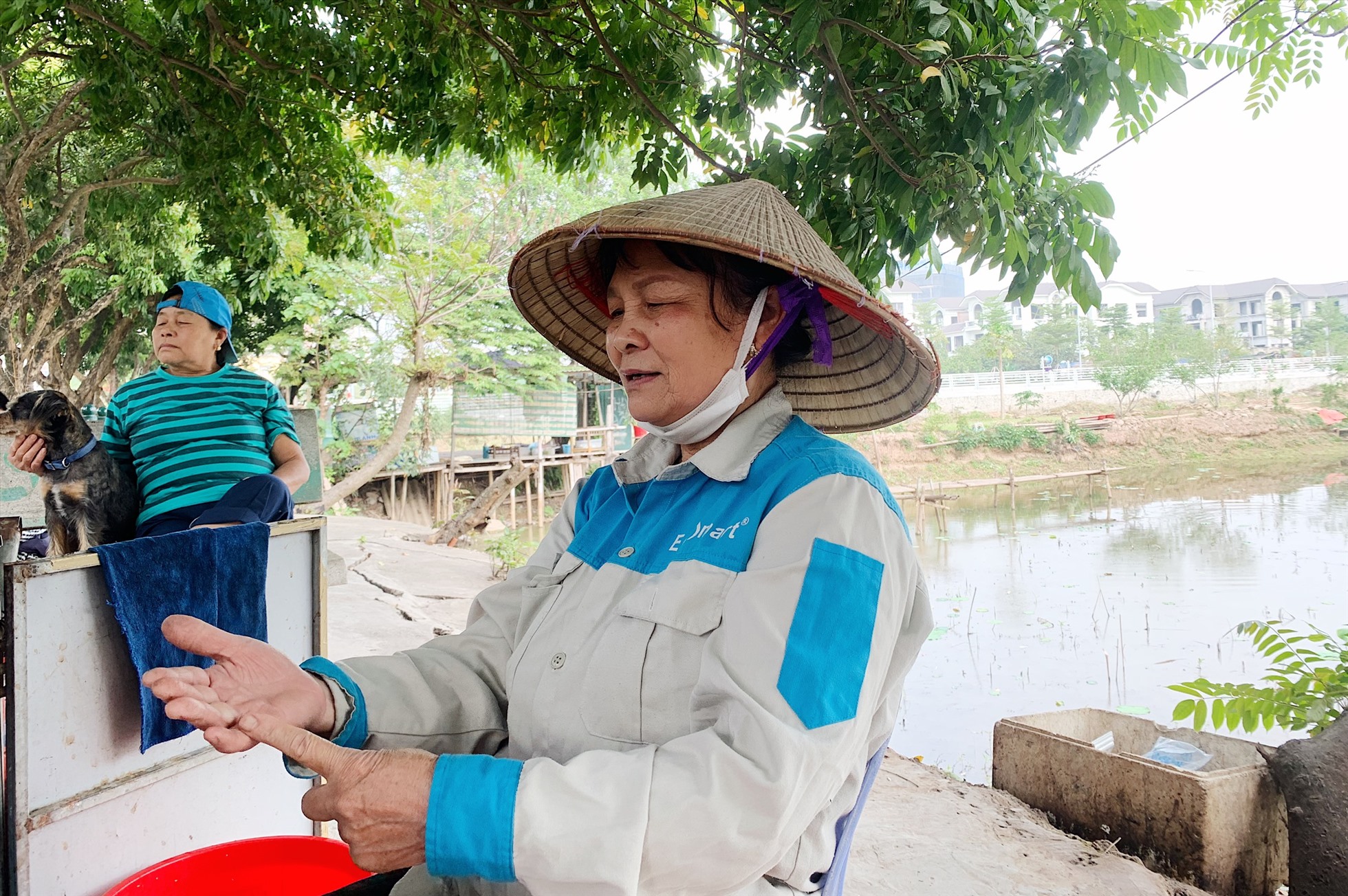 Bà Nguyễn Thị Hồng chia sẻ cảm nhận về việc di dời hàng nhãn trên phố đi bộ Trịnh Công Sơn.