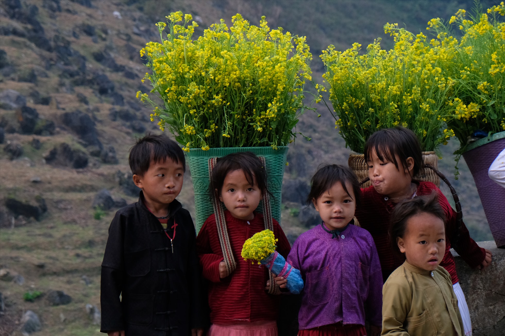 Trên đường đi tới “nhà của Pao”, du khách còn chứng kiến cảnh sinh hoạt đầy bình dị của hàng chục hộ dân tộc Hán và Mông. Đó là những đứa trẻ với nụ cười tươi rói đi hái hoa dại, hay vui đùa bên cánh đồng hoa tam giác mạnh quyến rũ.