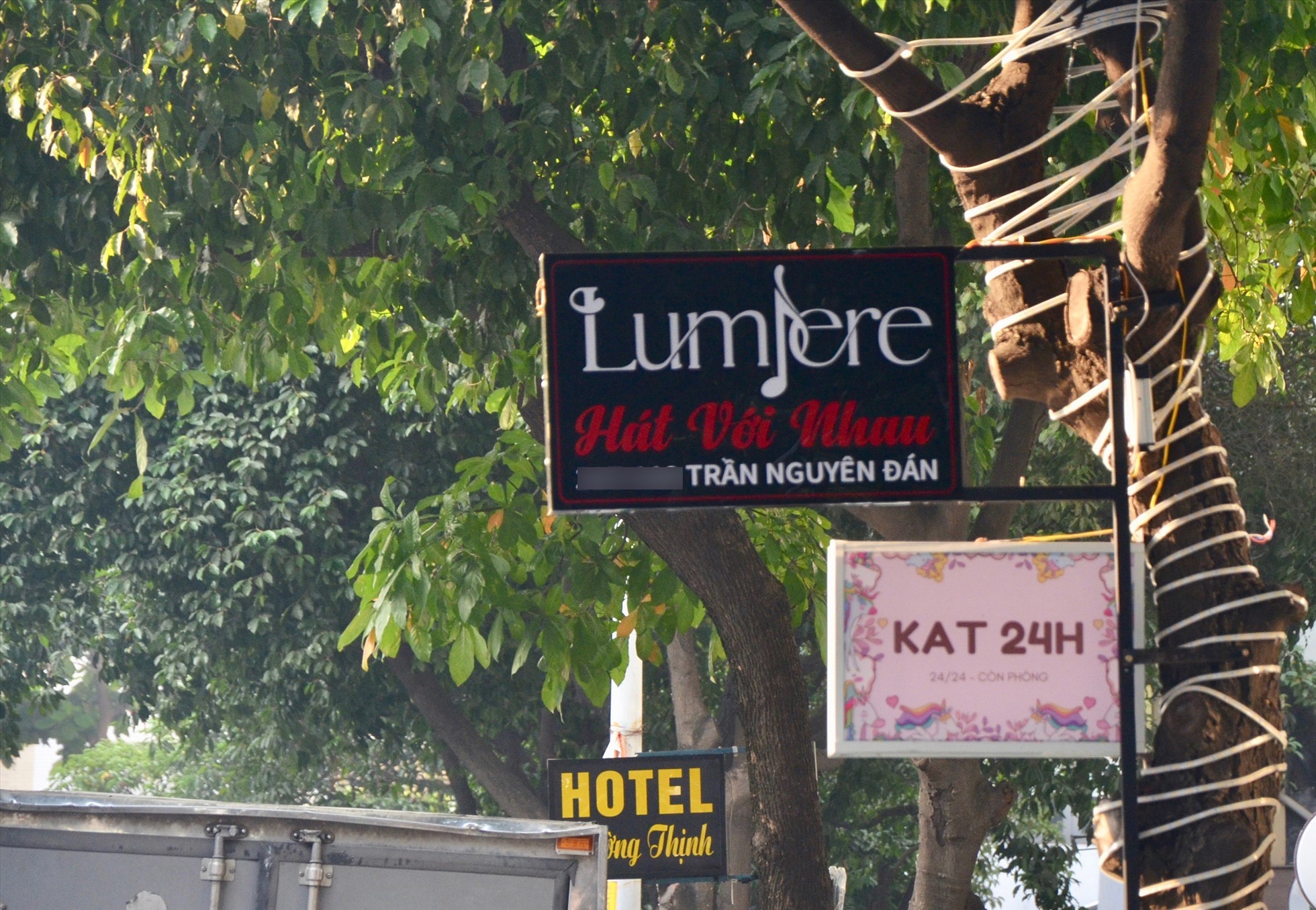 Những biển quảng cáo được gắn trên cây ở TP Hồ Chí Minh. Ảnh: Tuệ Nhi