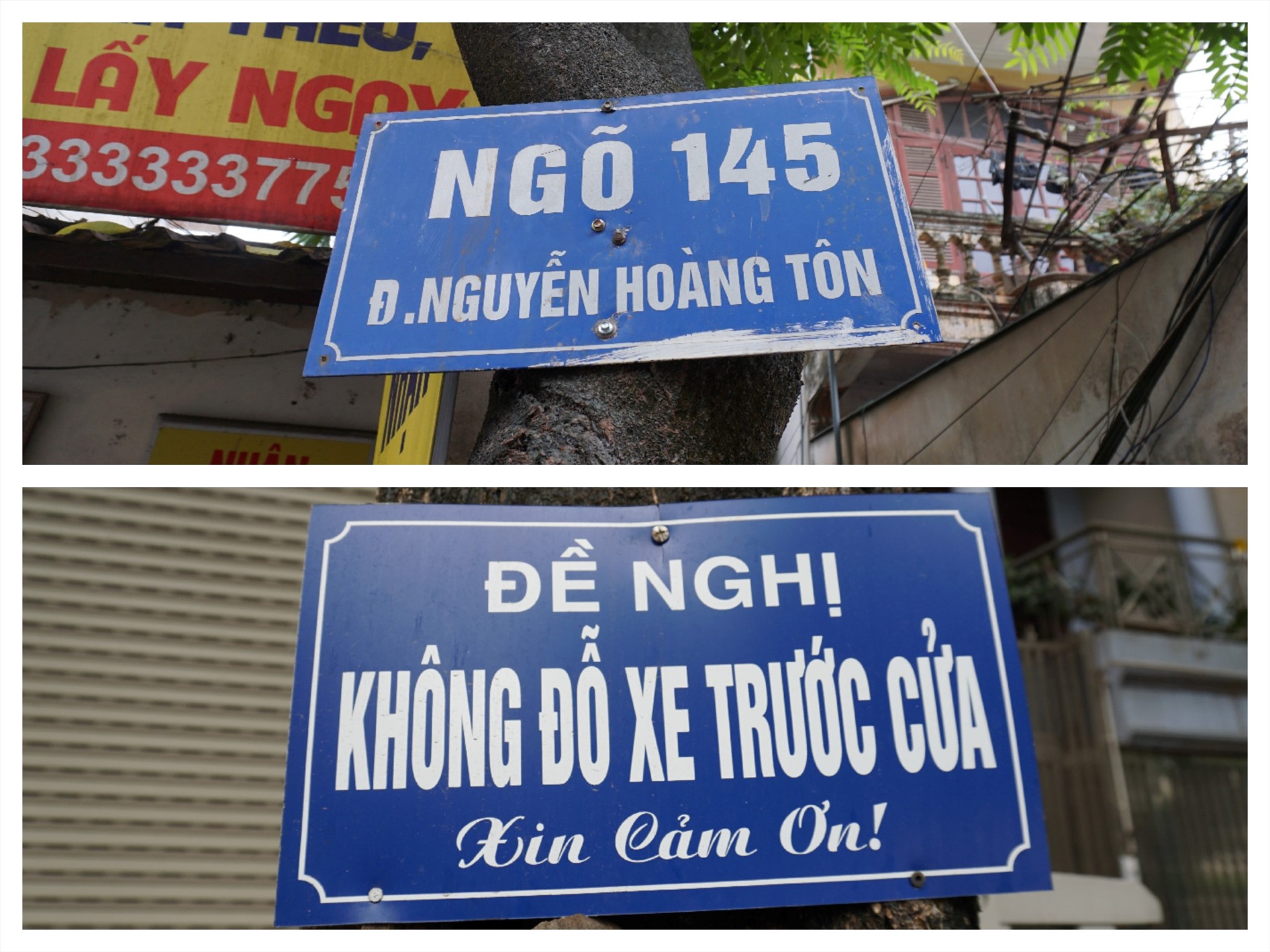 Tại đường Nguyễn Hoàng Tôn nhiều biển báo và biển tự phát được đóng trực tiếp vào thân cây.