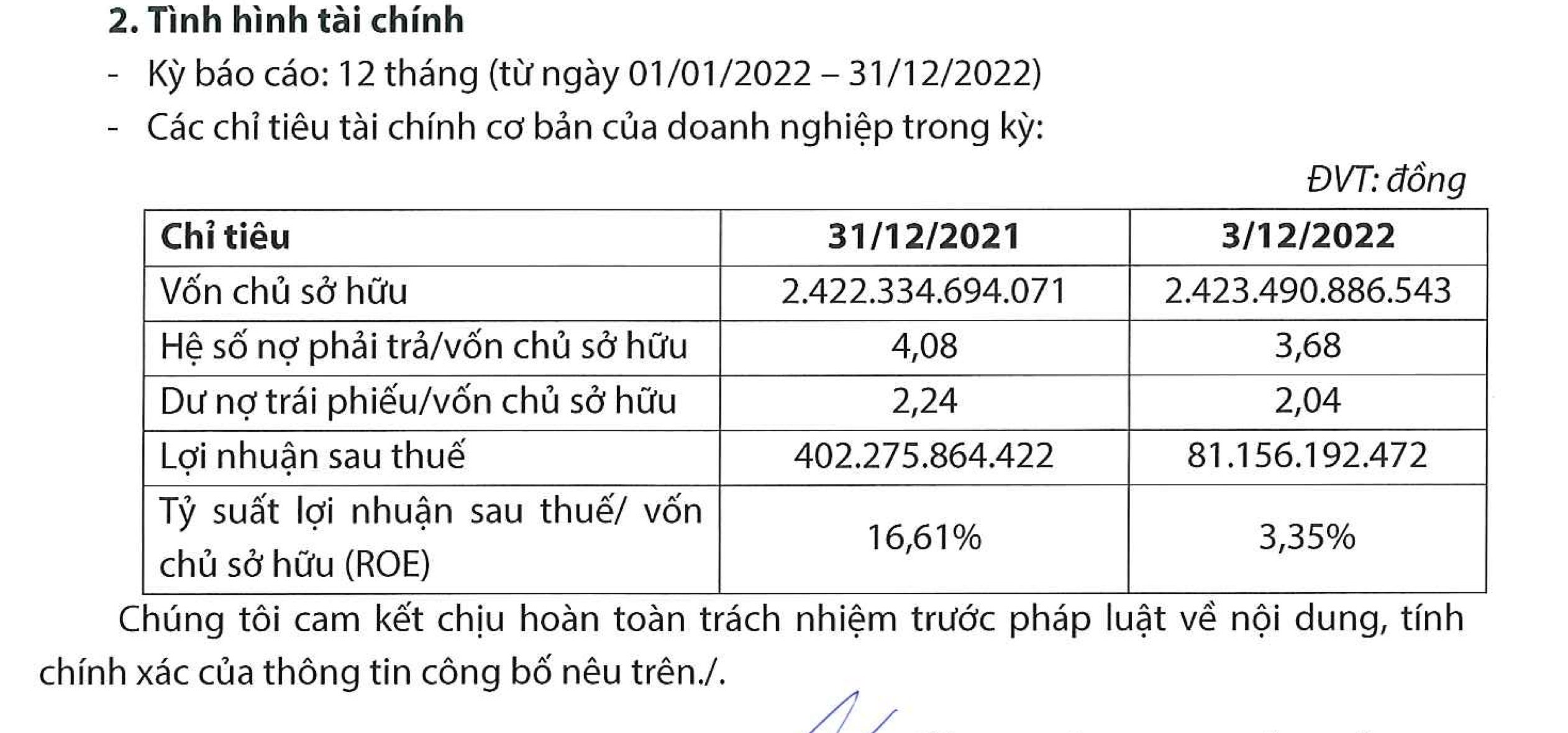 Kết quả kinh doanh Trung Nam Thuận Nam năm 2022. Ảnh: Chụp màn hình.