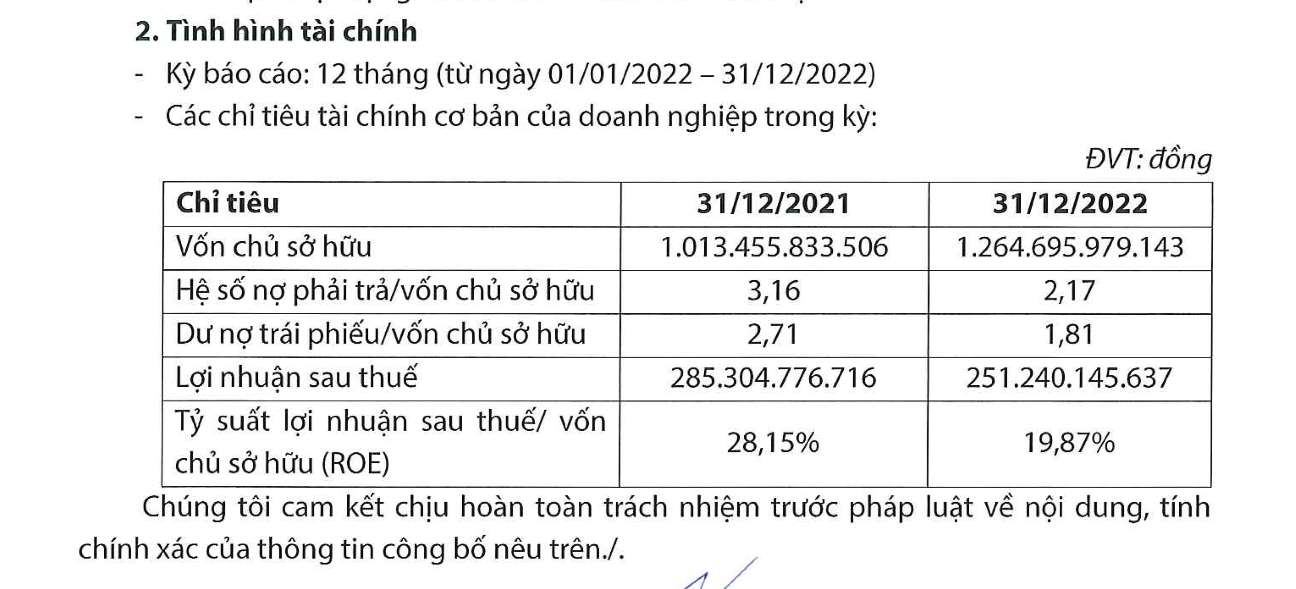 Báo cáo về kết quả kinh doanh Điện mặt trời Trung Nam năm 2022. Ảnh: Chụp màn hình.