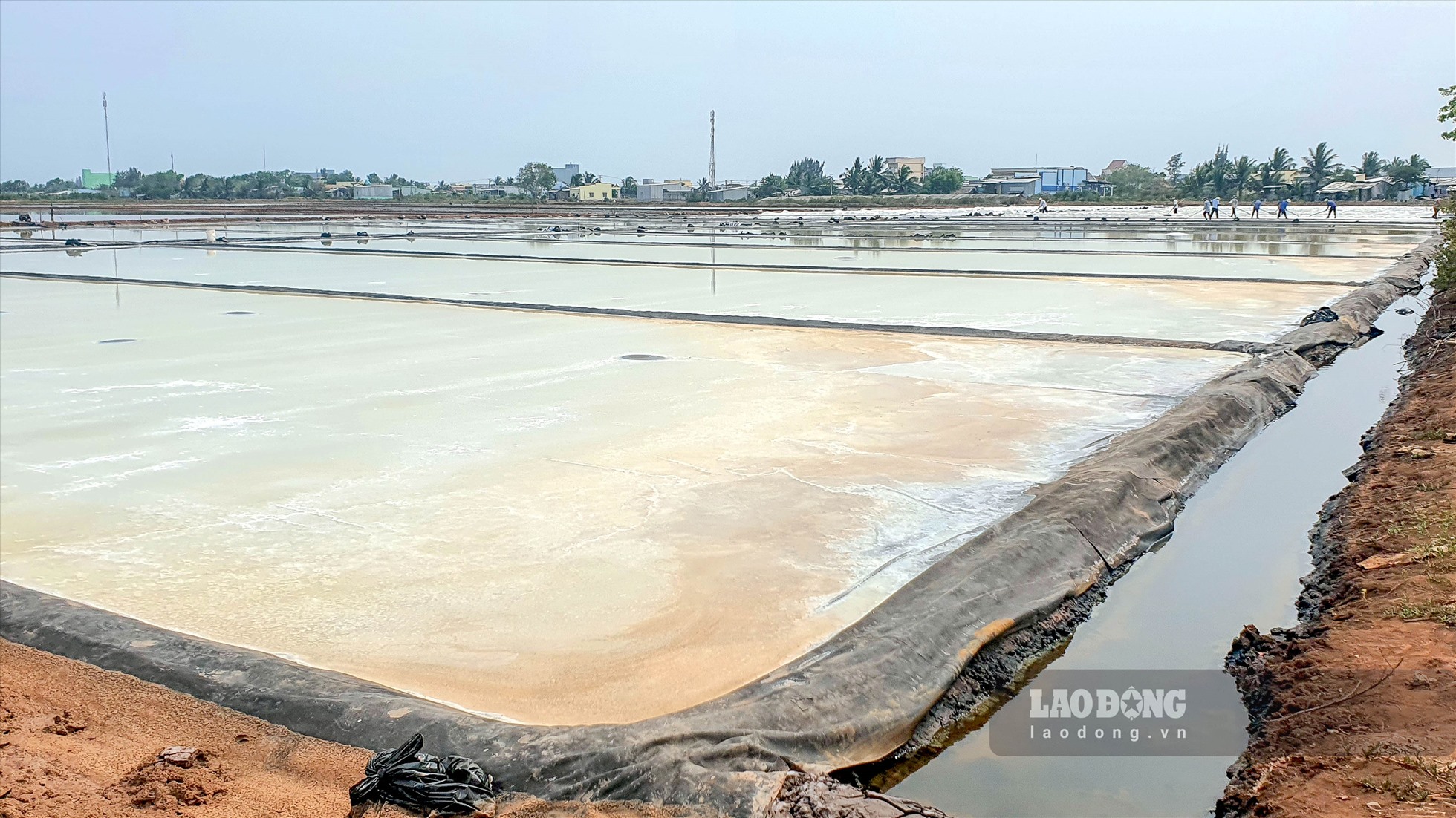 Nghề làm muối có mặt tại tỉnh Bạc Liêu hơn 100 năm nay. Hiện tại diện tích sản xuất muối toàn tỉnh Bạc Liêu gần 1.500 ha ở huyện Hòa Bình, Đông Hải.