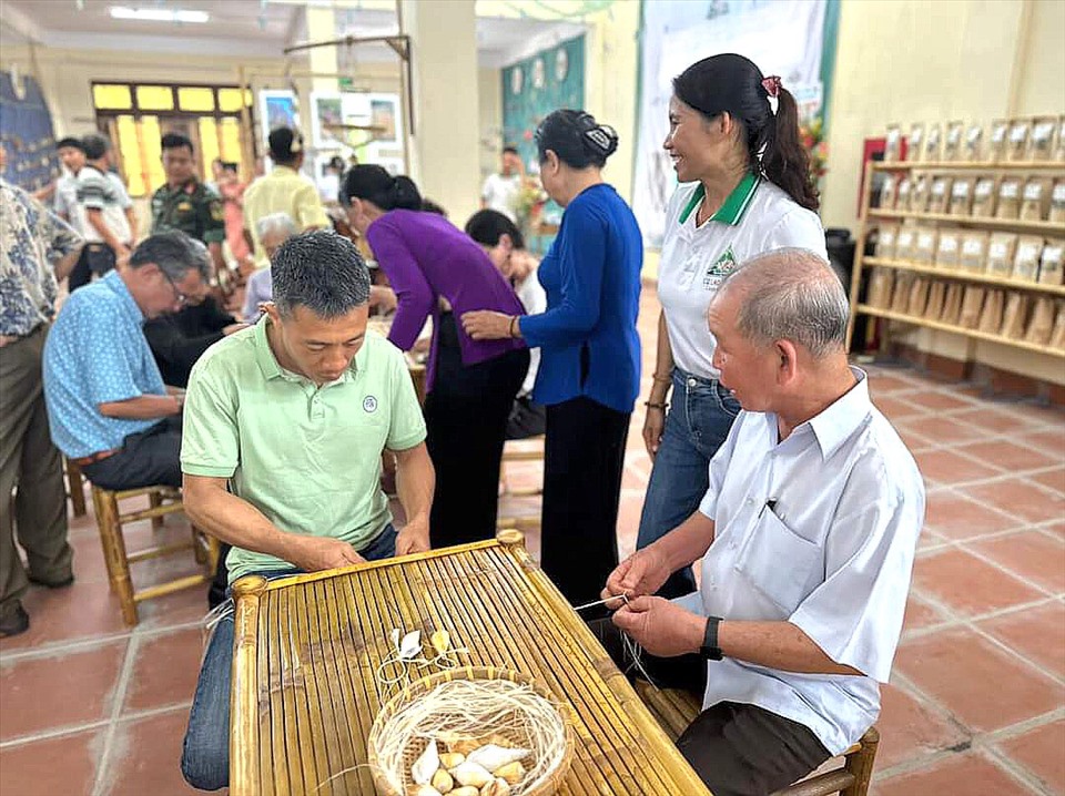 Đông đảo du khách đến tham gia trải nghiệm đan võng Ngô đồng.