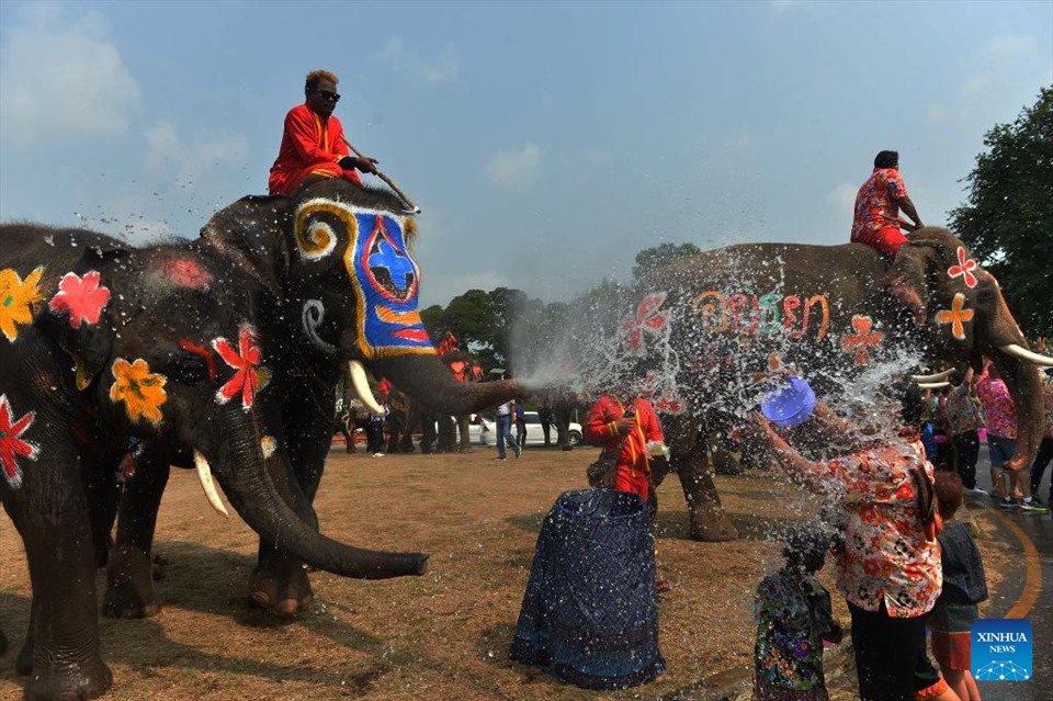 Dịp Tết cổ truyền Songkran, Thái Lan sẽ tổ chức một số lễ hội lớn trên cả nước như Lễ hội Rolling Loud Thailand 2023, Lễ hội Water Bomb Bangkok 2023, Lễ hội âm nhạc S2O Songkran 2023, Lễ hội Andamanda Songkran, Sự kiện Water war Chiangmai... Loạt sự kiện, lễ hội hấp dẫn hứa hẹn thu hút càng nhiều du khách đến với Thái Lan nhân dịp này.